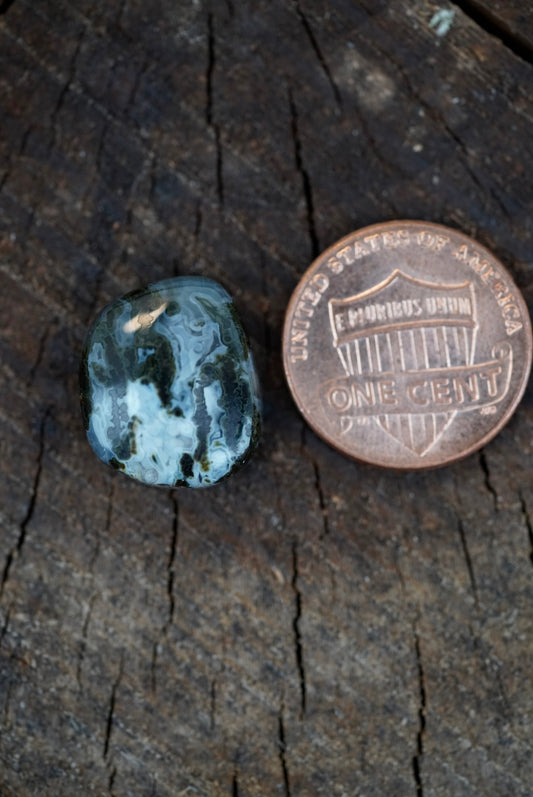 Ochoco Moss Agate Cabochon