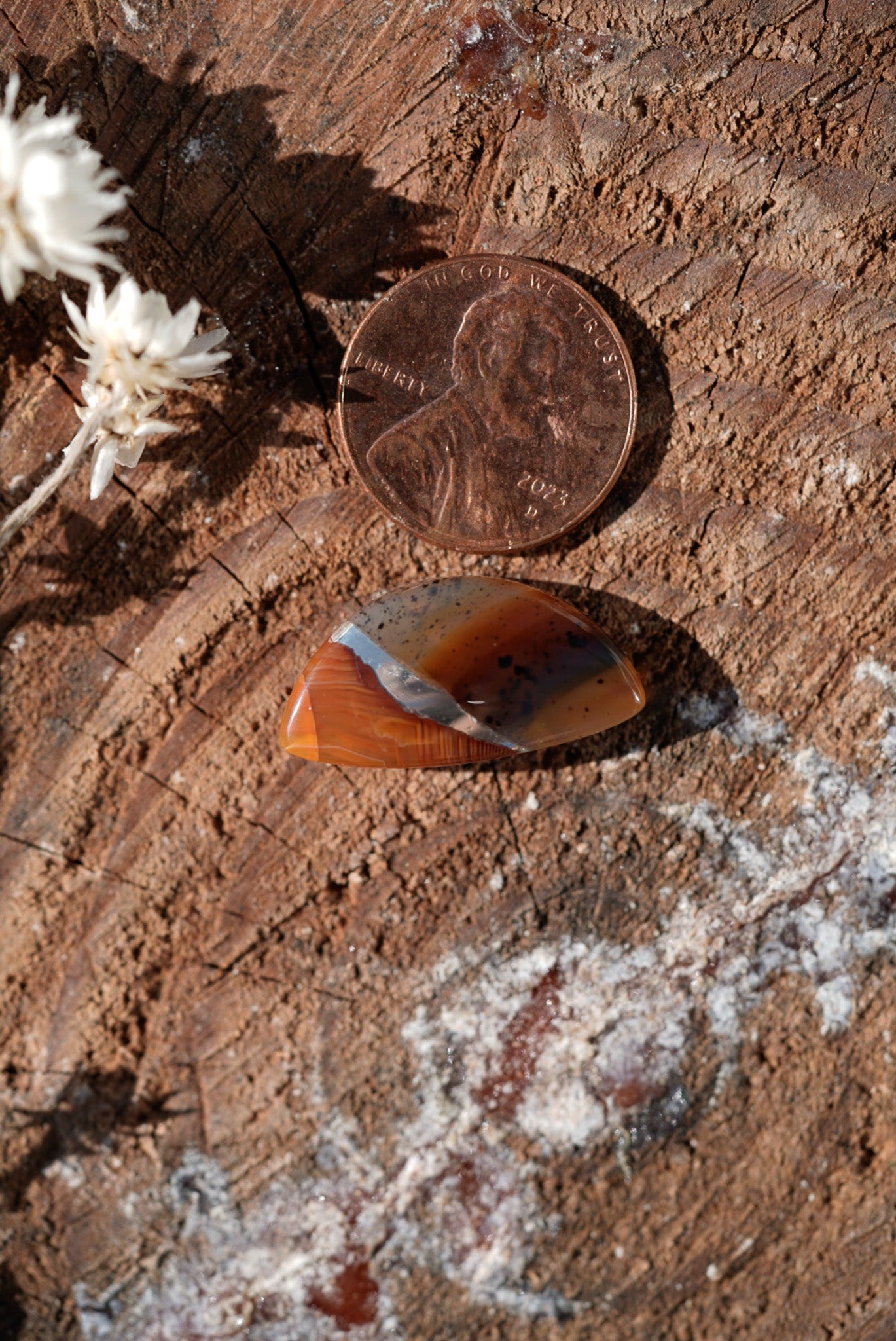 Kintarsia Cabochon - "Small" No.1