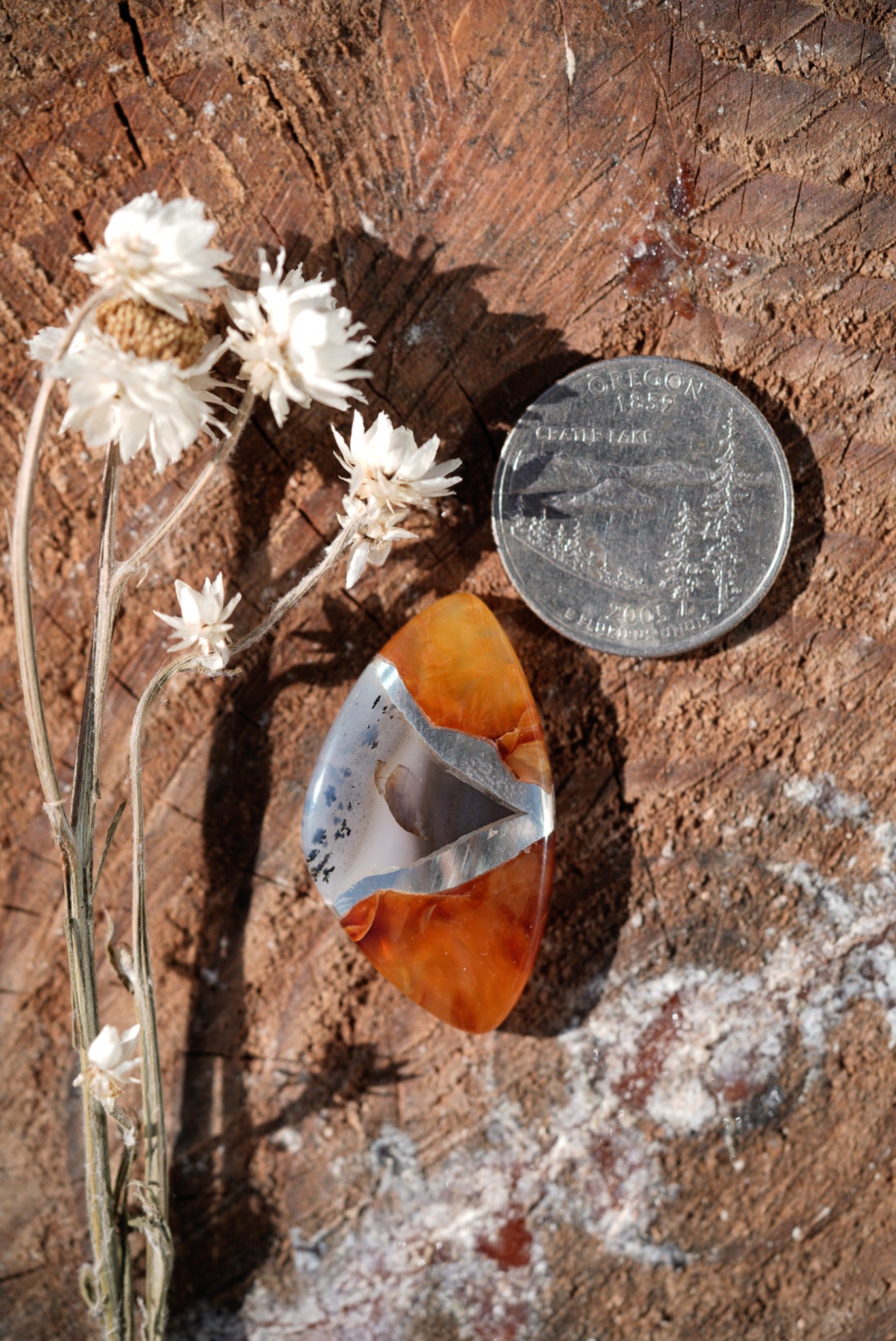 Kintarsia Cabochon - 3 Stone No.1