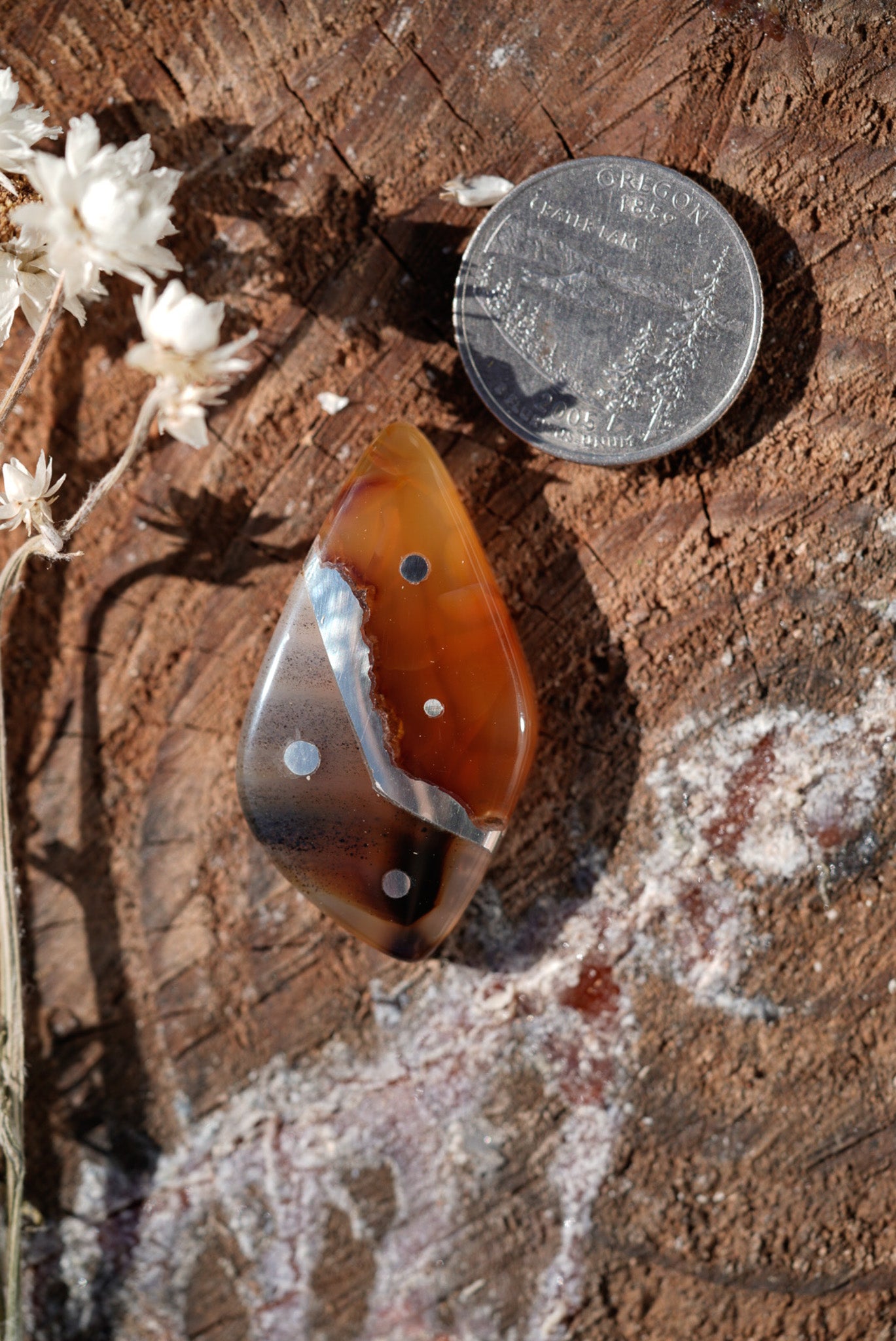 Kintarsia Cabochon - Polka Dot No.1