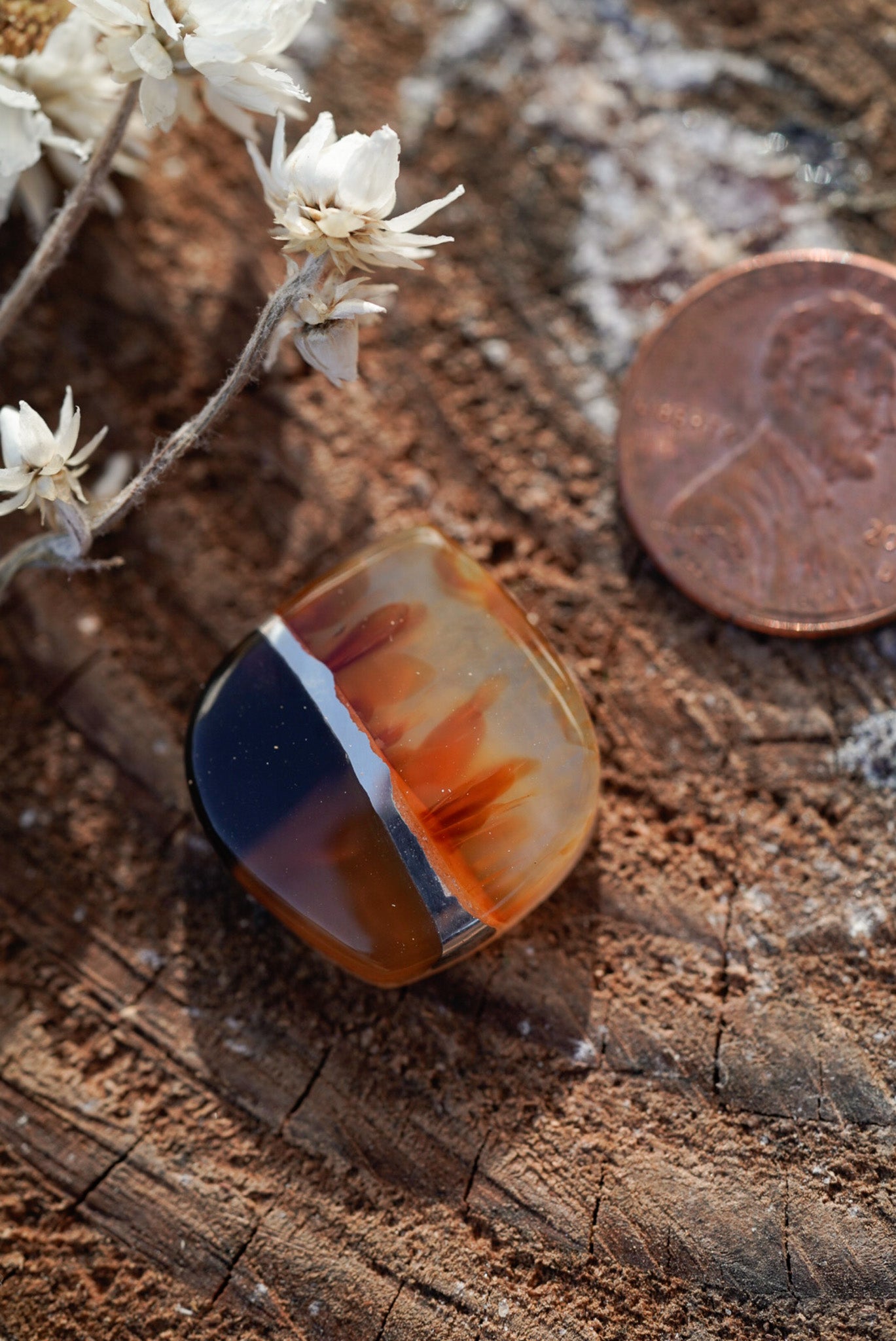 Kintarsia Cabochon - "Medium" No.5