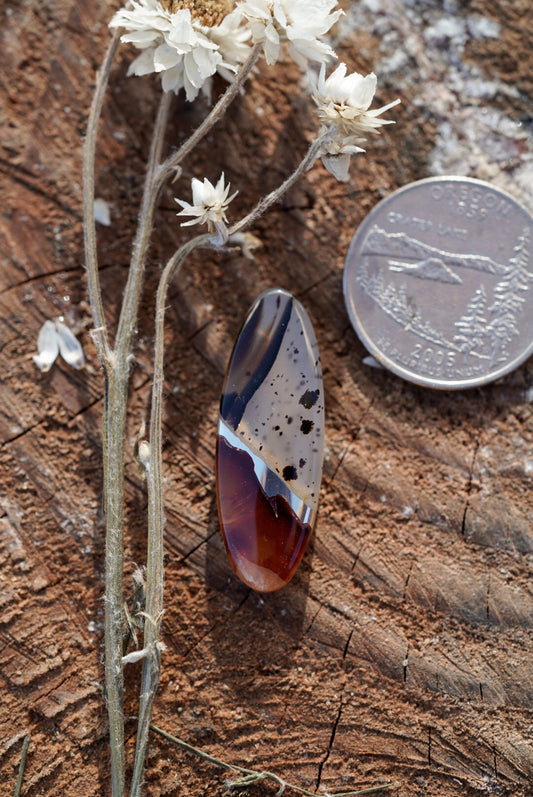 Kintarsia Cabochon - "Large" No.5
