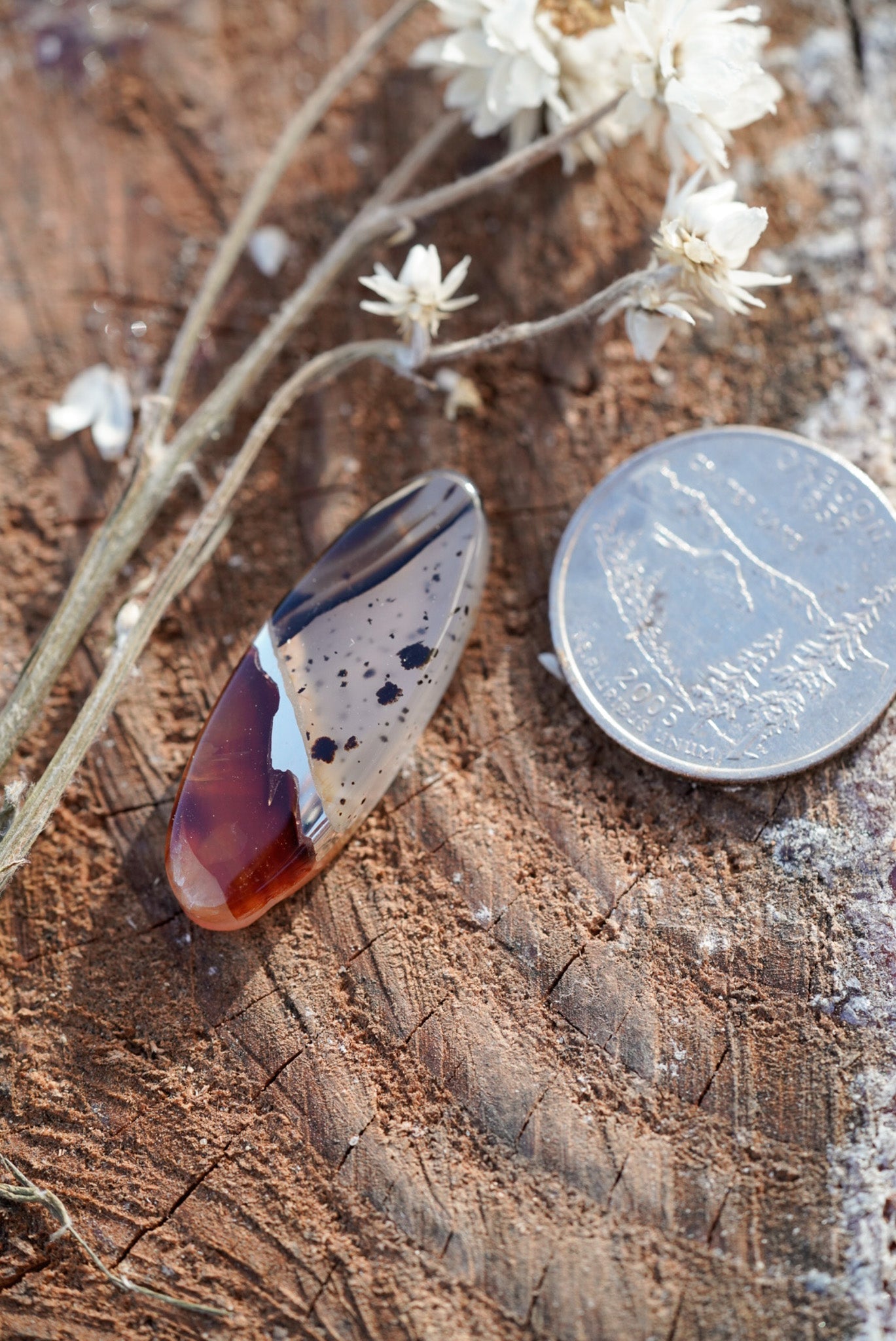 Kintarsia Cabochon - "Large" No.5