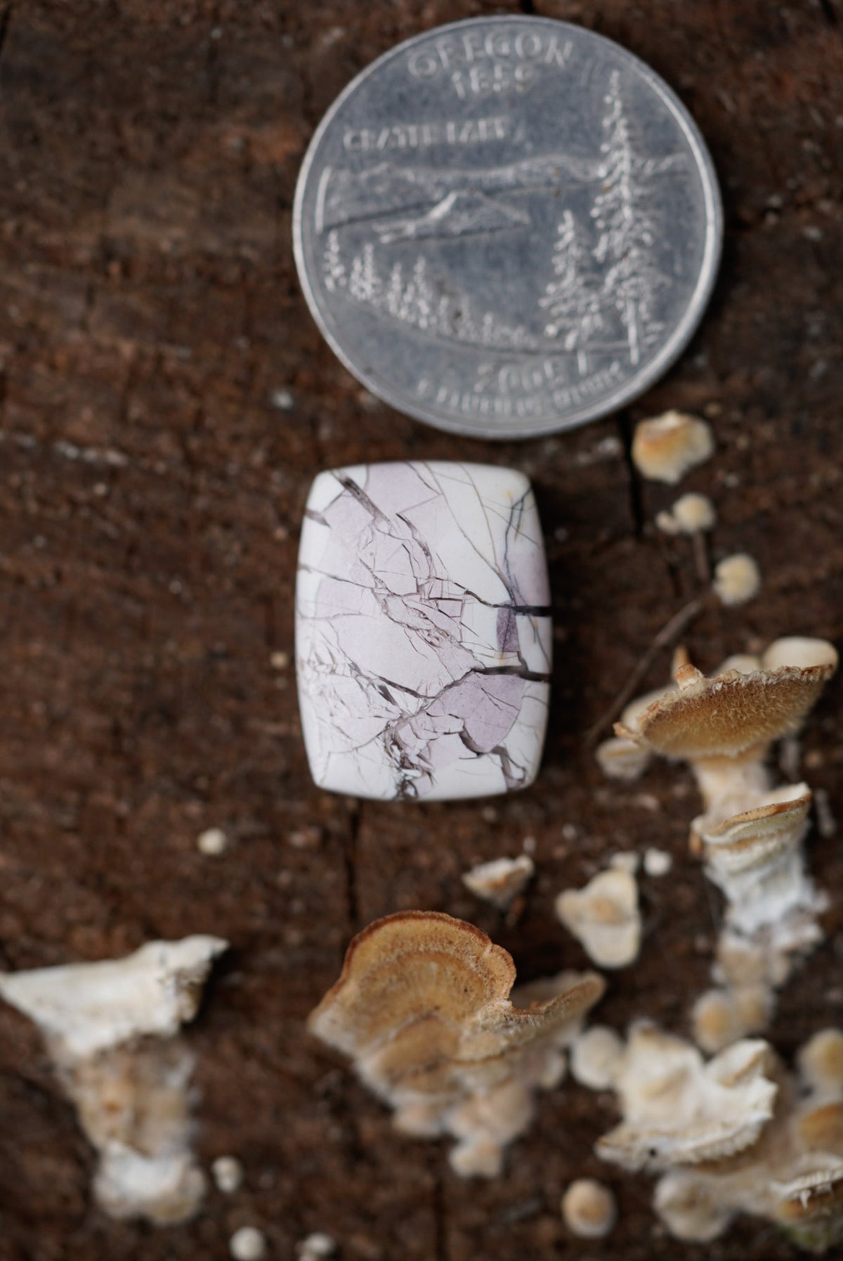 Brecciated Mookaite Cabochon