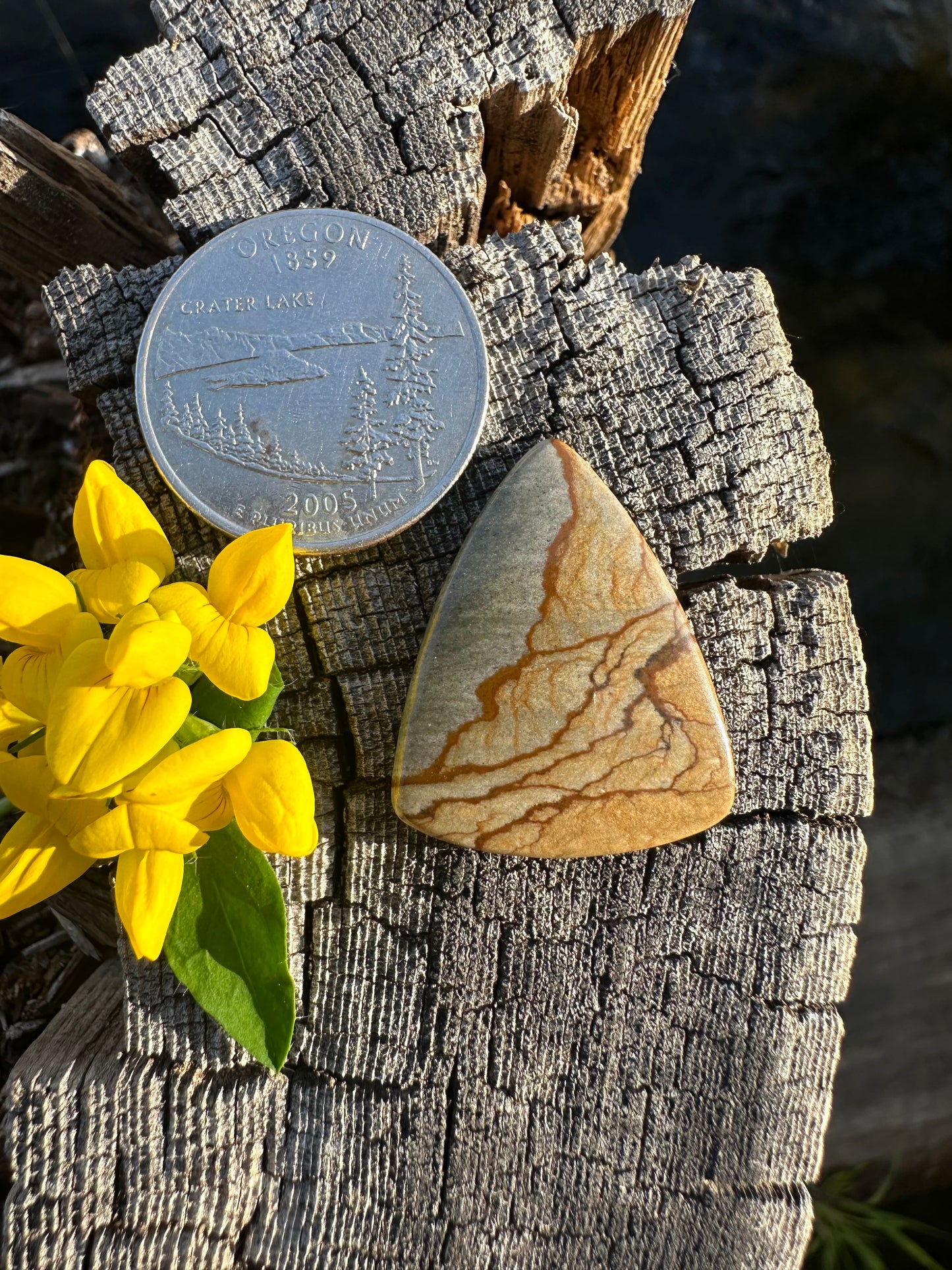 Cripple Creek Picture Jasper Cabochon