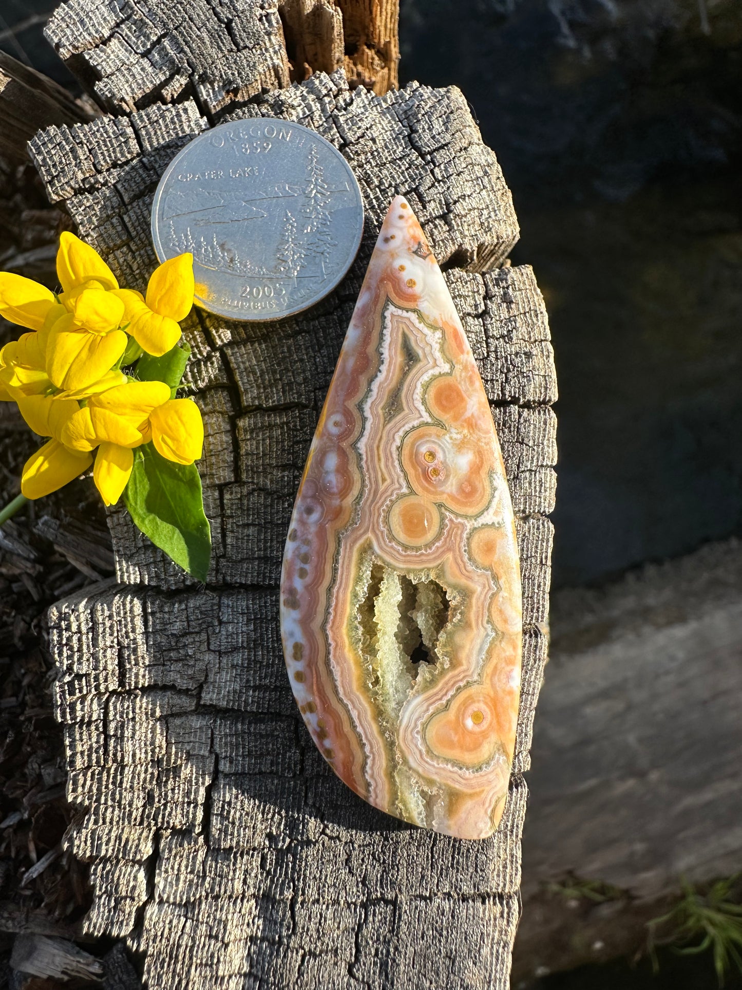 Ocean Jasper Cabochon