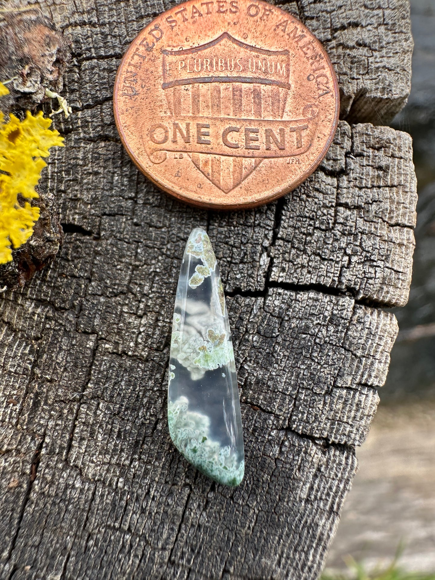 Ochoco Moss Agate Cabochon