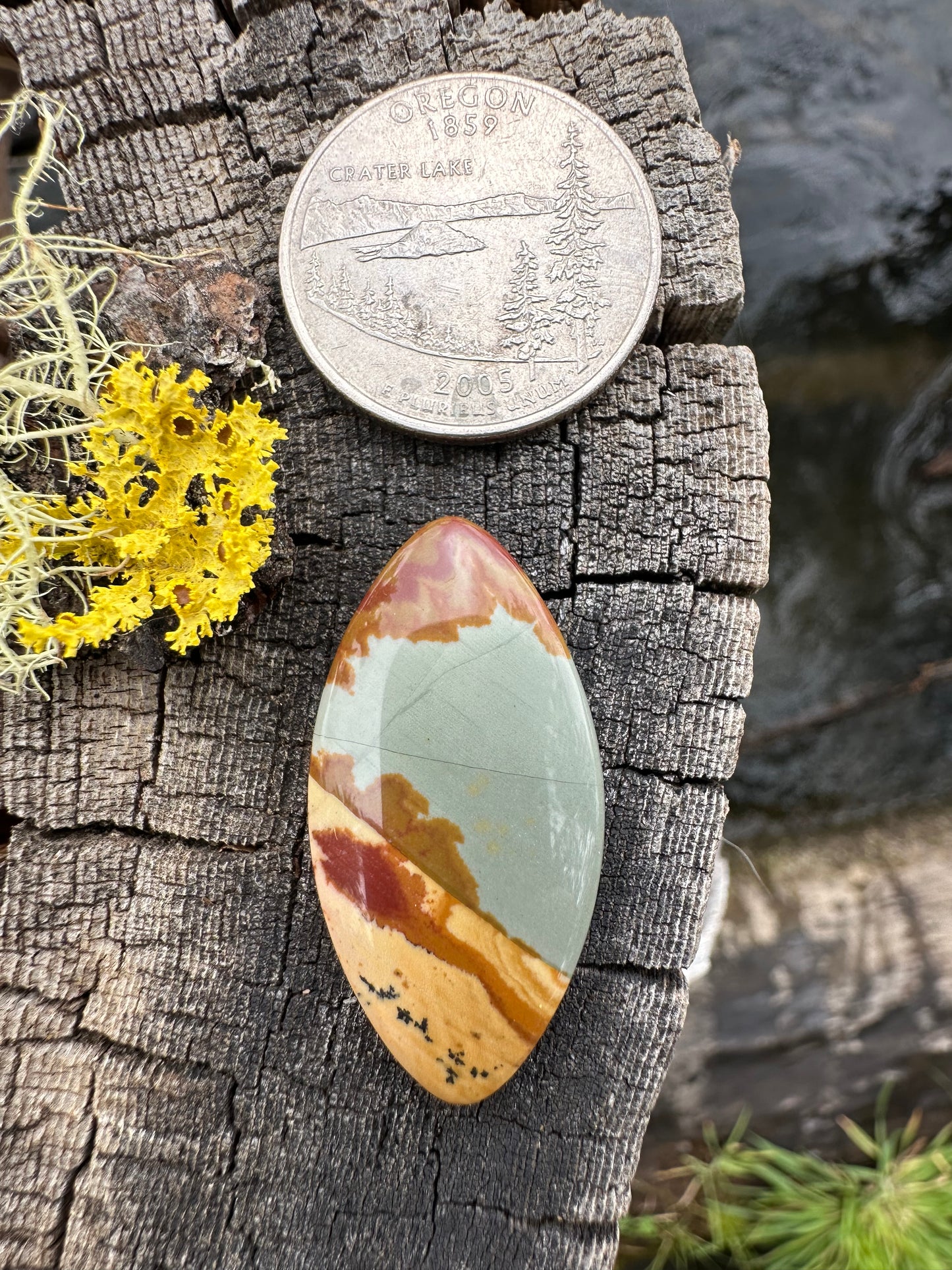 Owyhee Jasper Cabochon