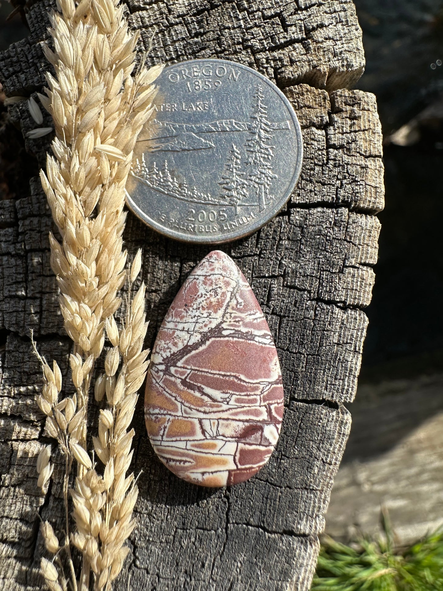 Sonoran Dendritic Rhyolite Cabochon