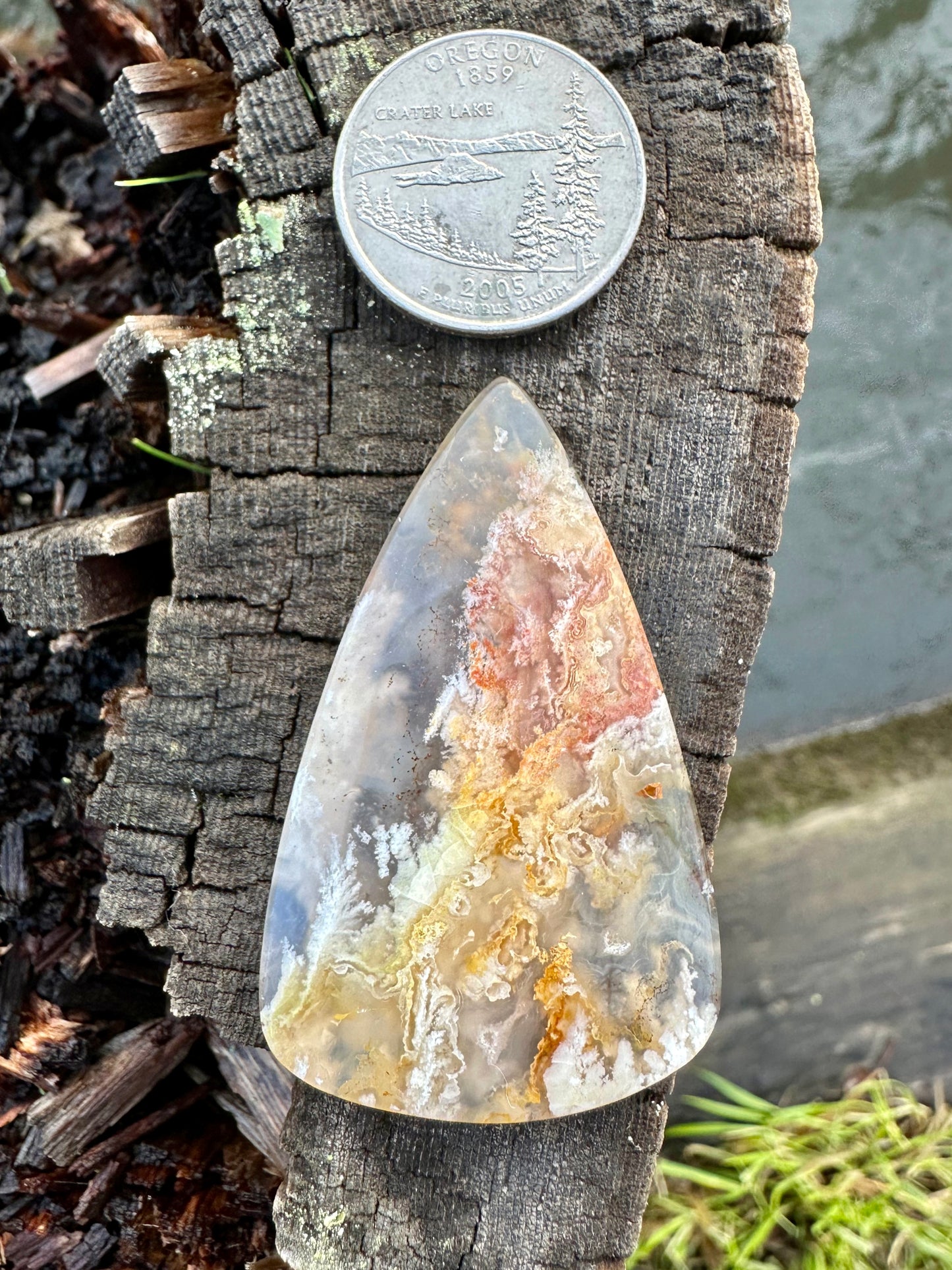 Bella Vista Plume Agate Cabochon