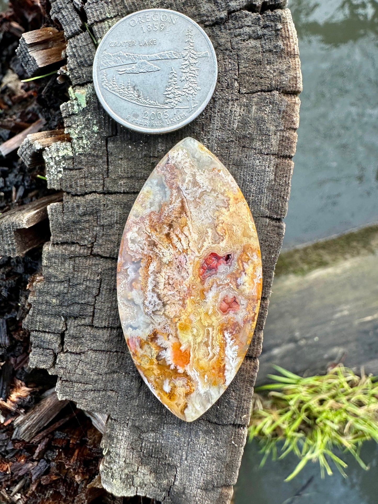 Bella Vista Plume Agate Cabochon