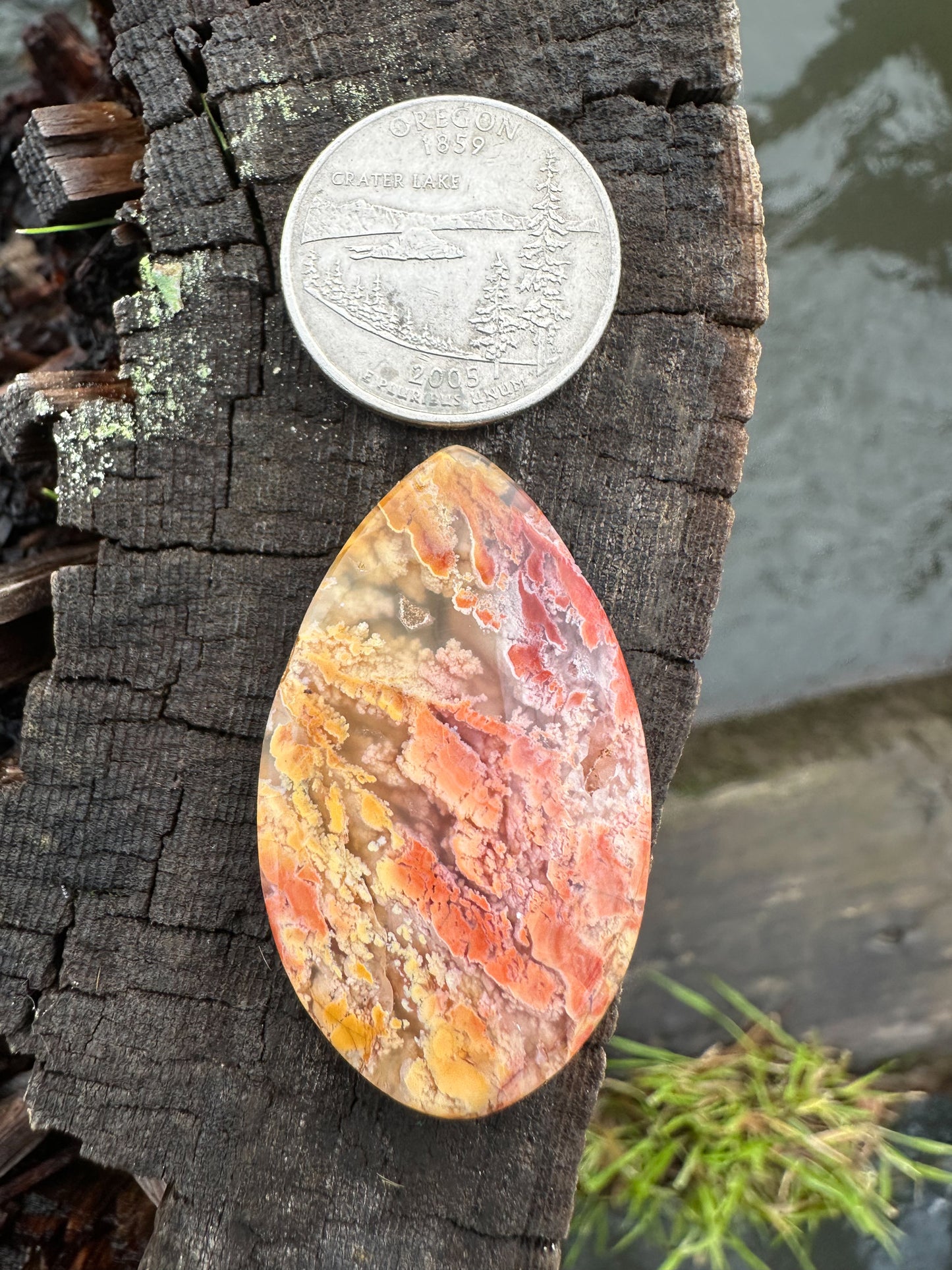 Feather Ridge Plume Agate Cabochon
