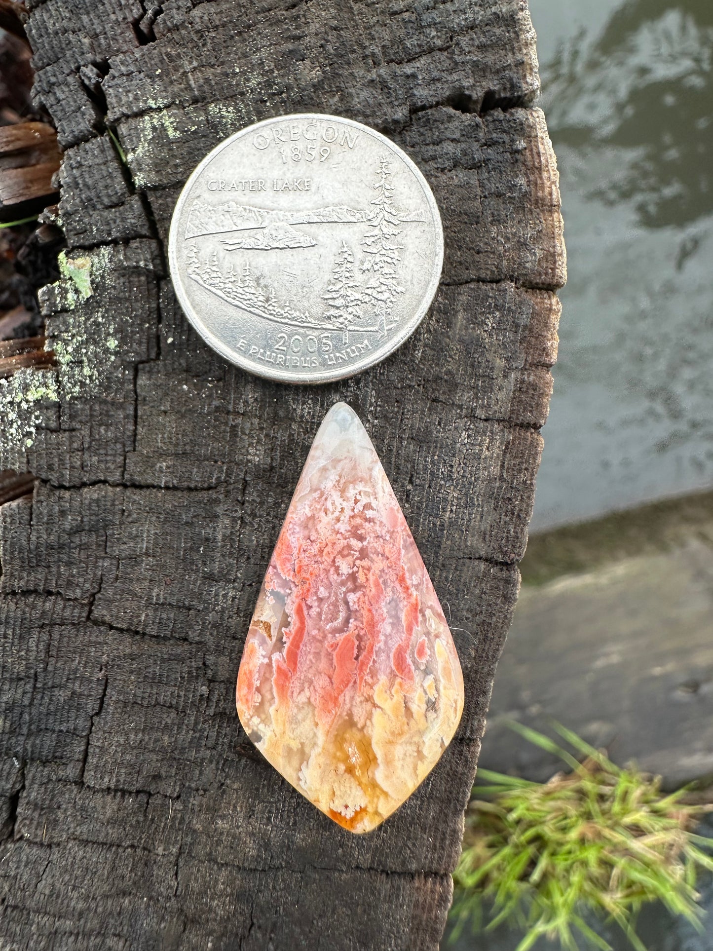 Feather Ridge Plume Agate Cabochon