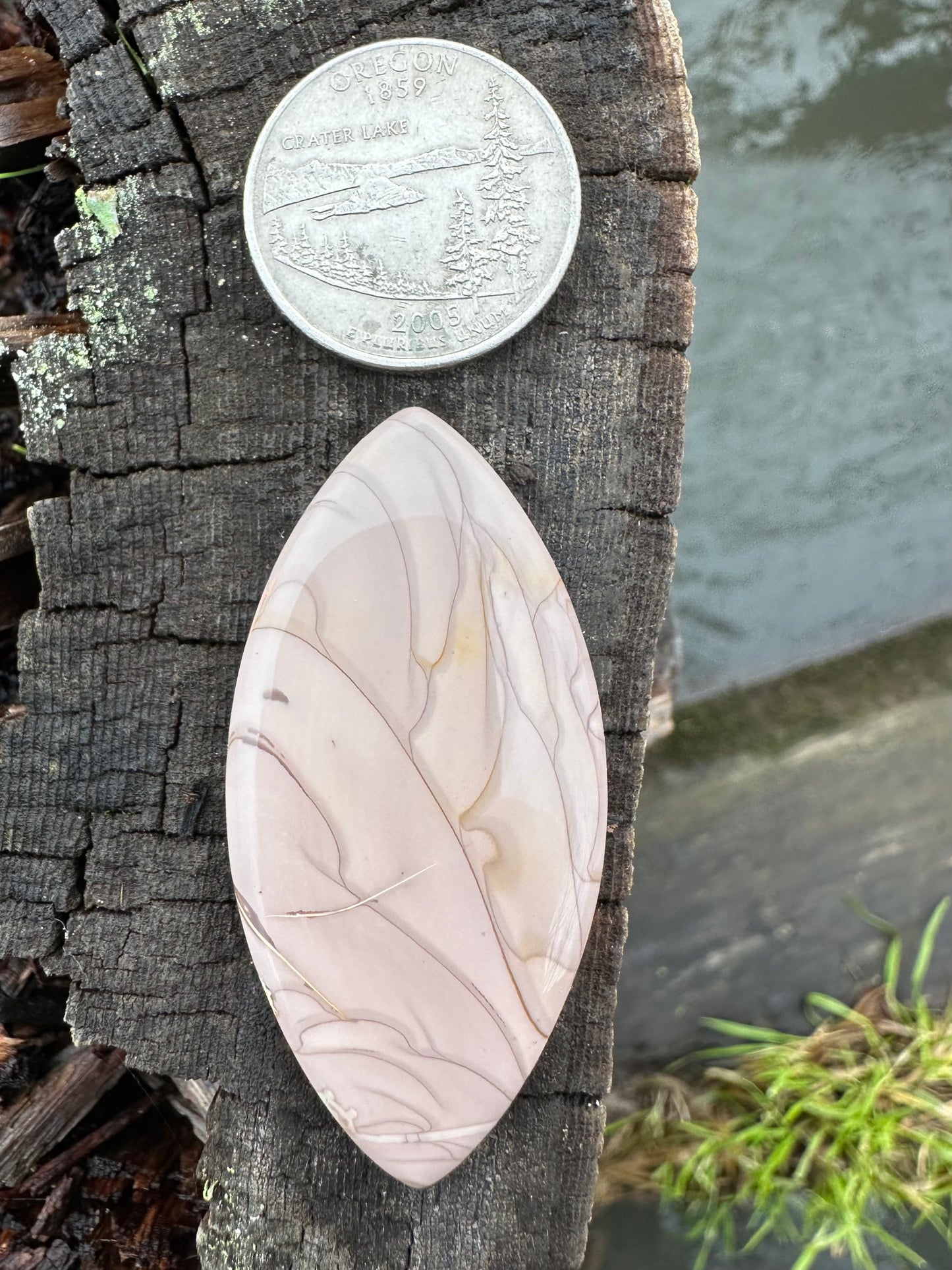 Willow Creek Jasper Cabochon