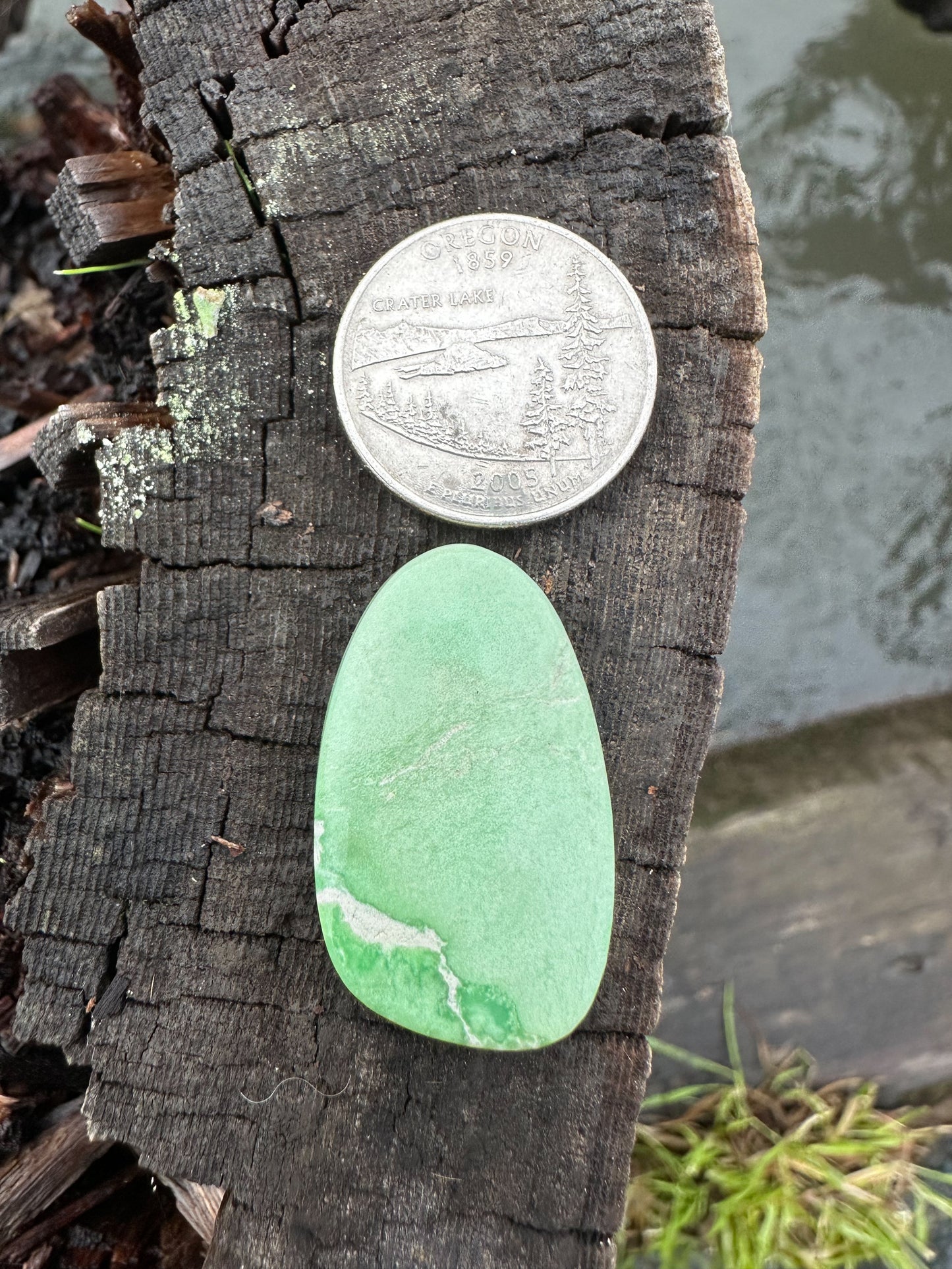 Lucin Variscite Cabochon