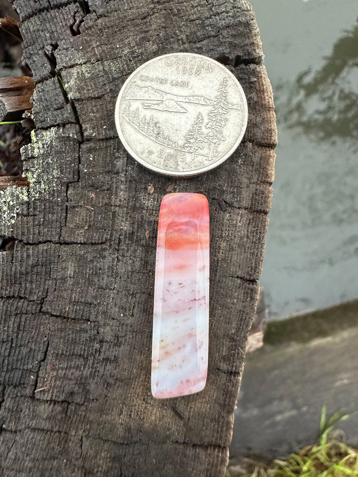 Flamingo Rose Cabochon