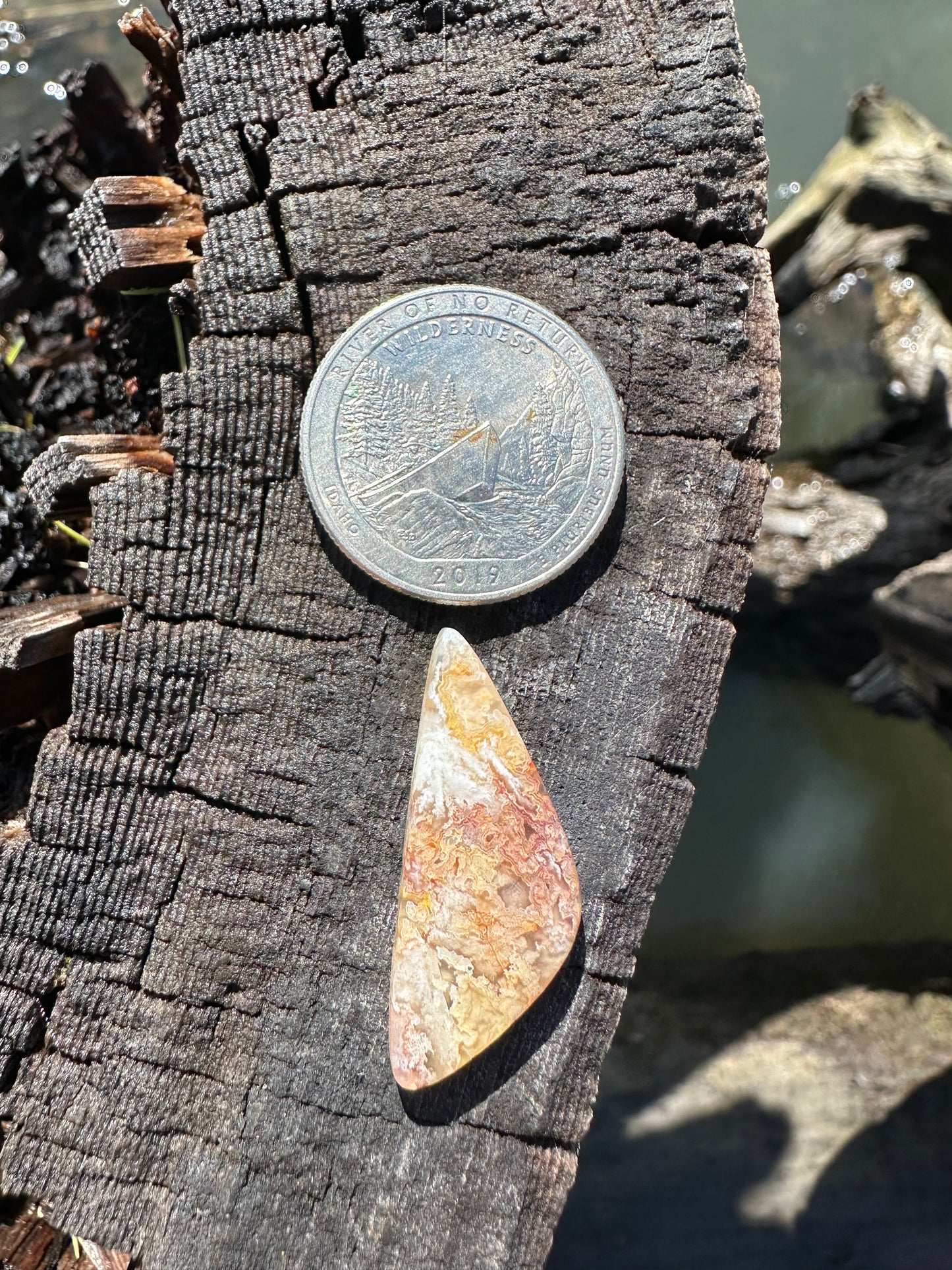 Bella Vista Plume Agate Cabochon