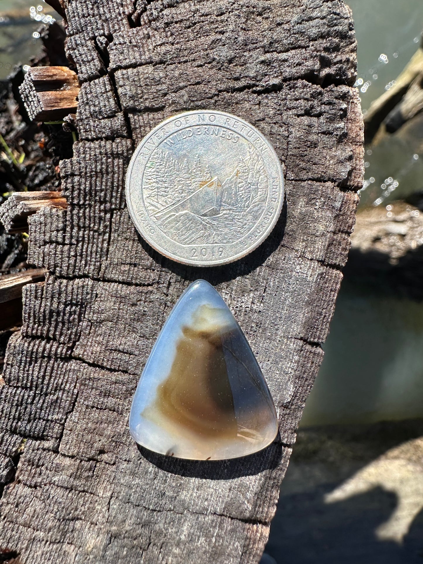 Montana Agate Cabochon