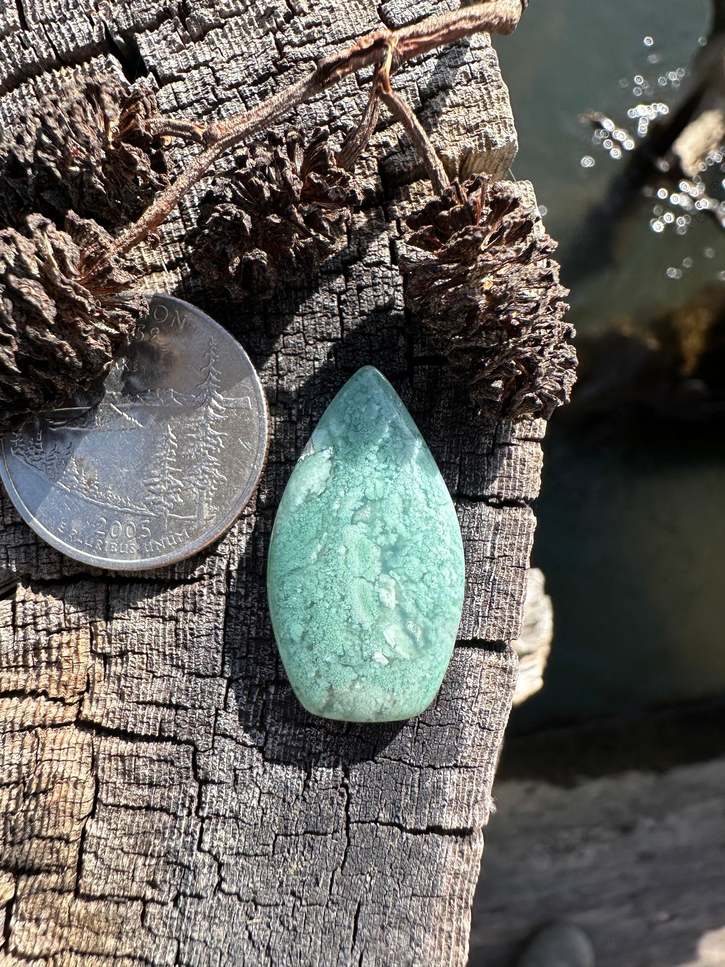 Chrome Chalcedony Cabochon