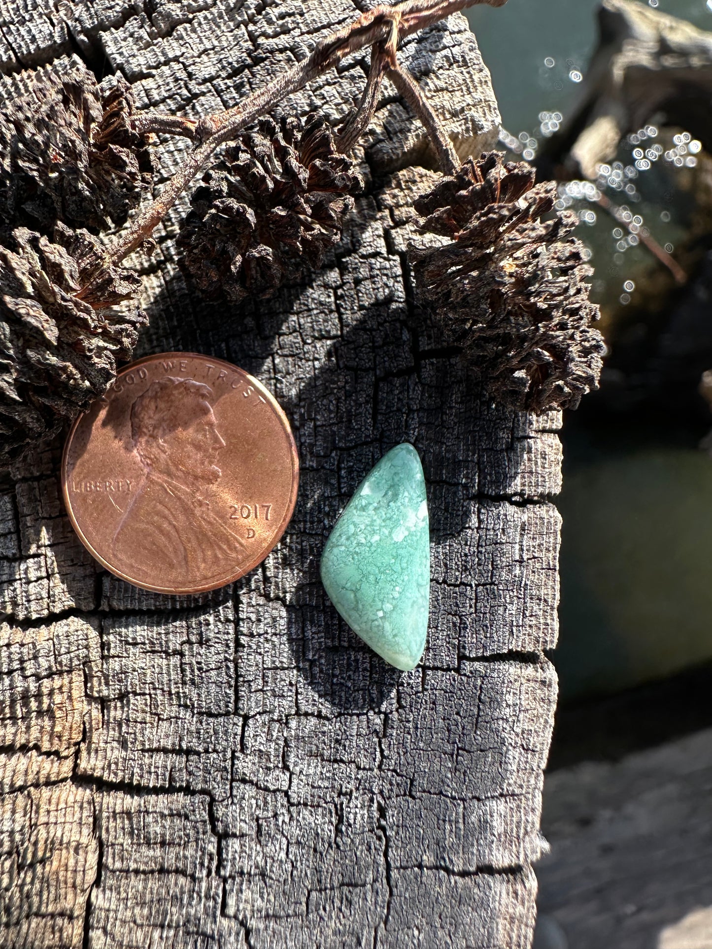Chrome Chalcedony Cabochon