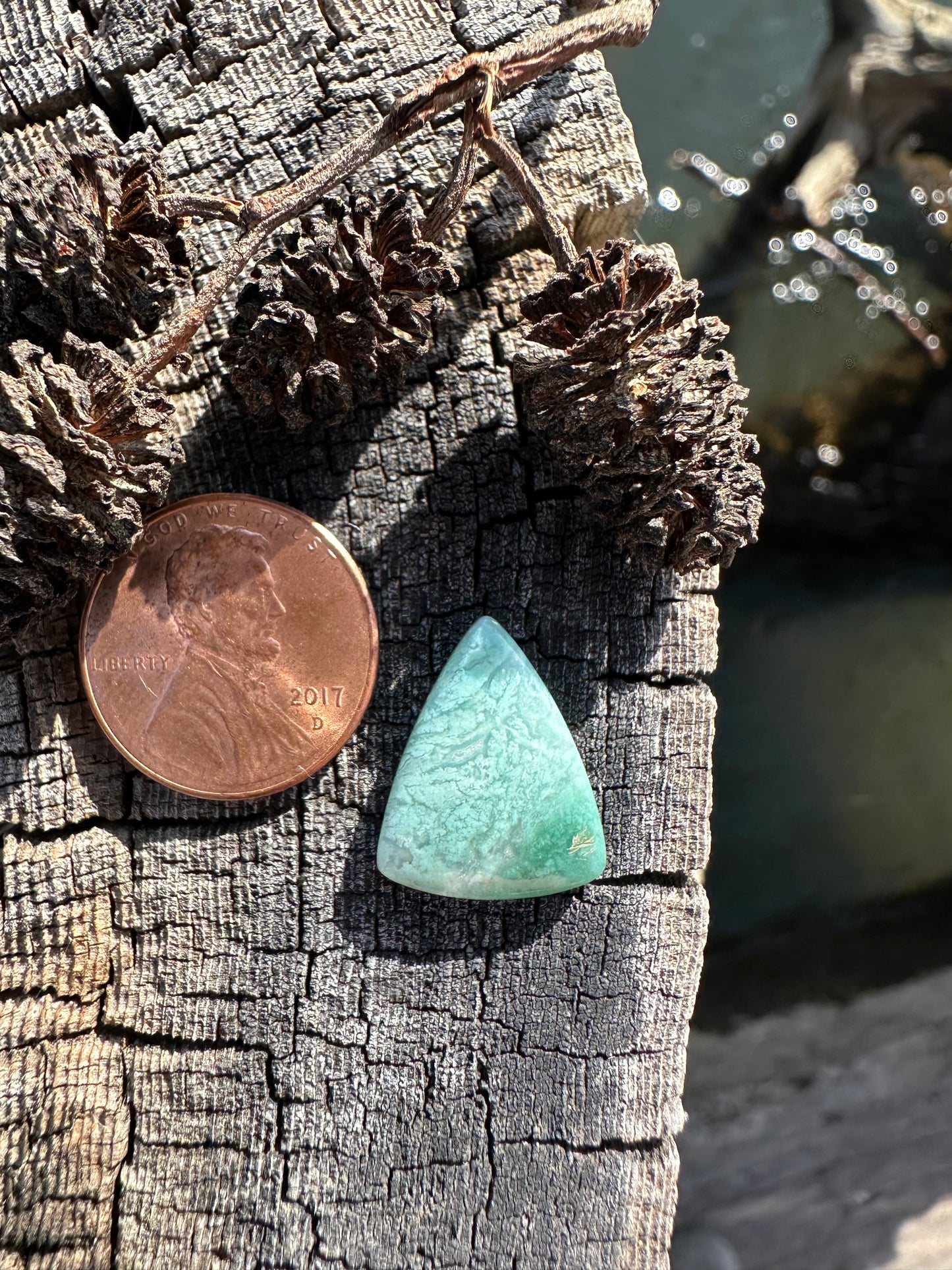 Chrome Chalcedony Cabochon