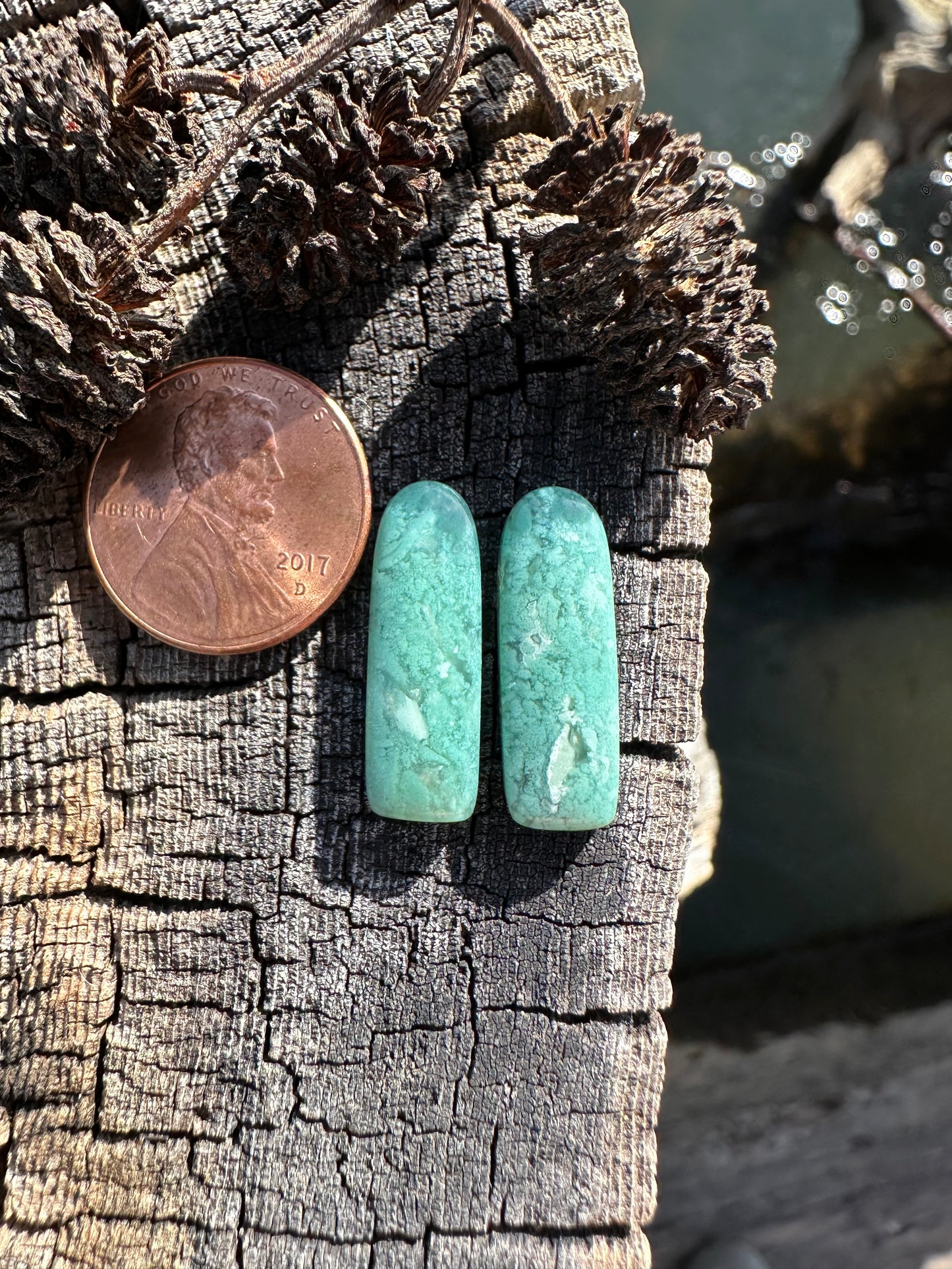Chrome Chalcedony Earring Pair Cabochons