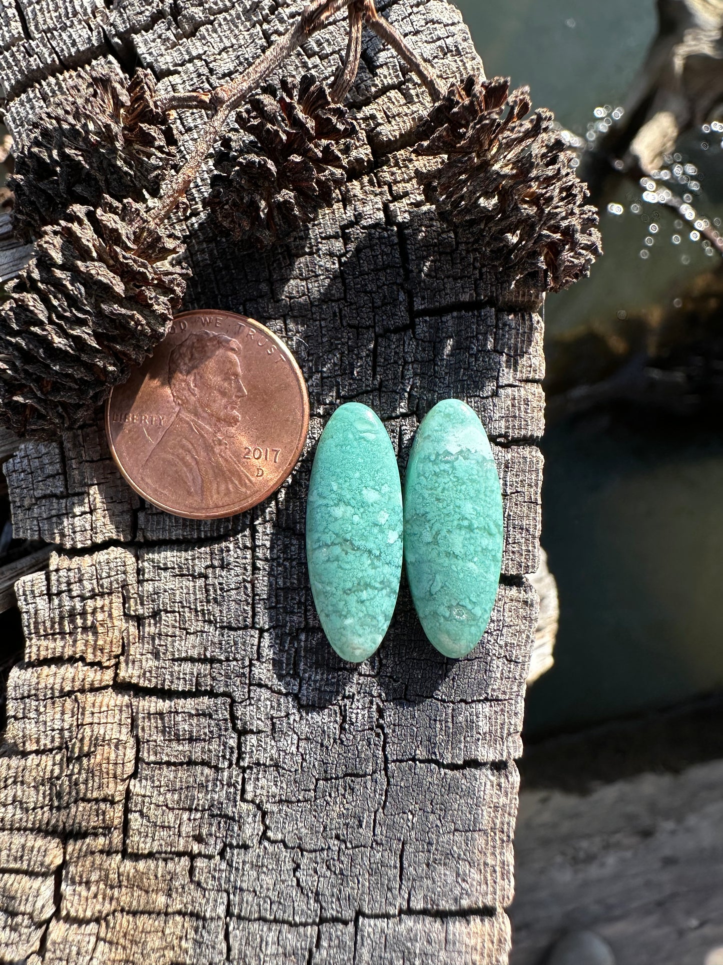Chrome Chalcedony Earring Pair Cabochons