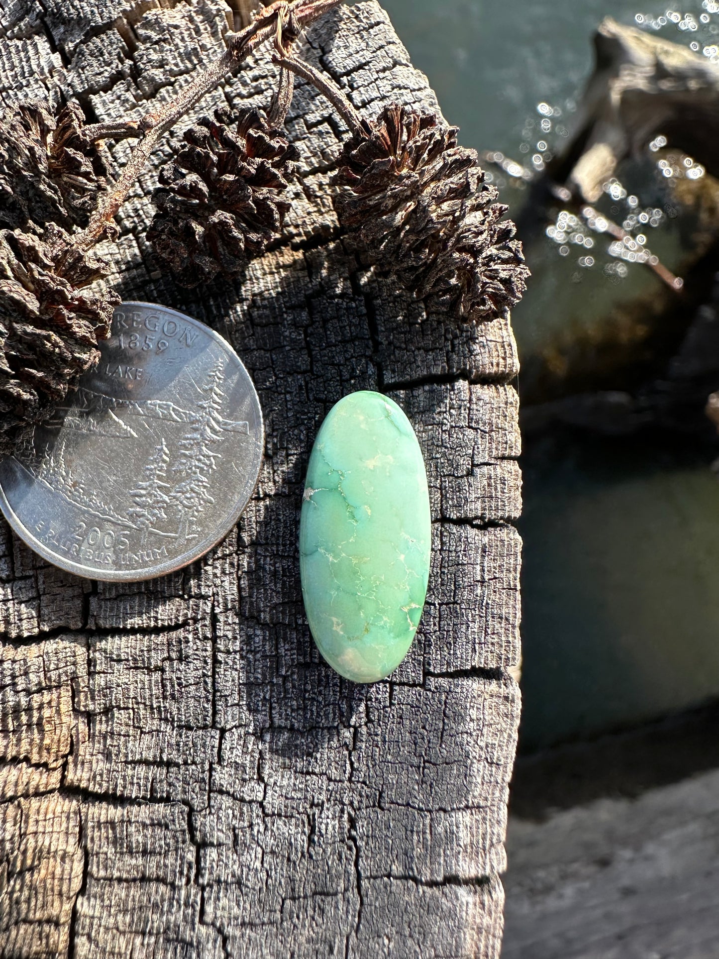 Turquoise Cabochon