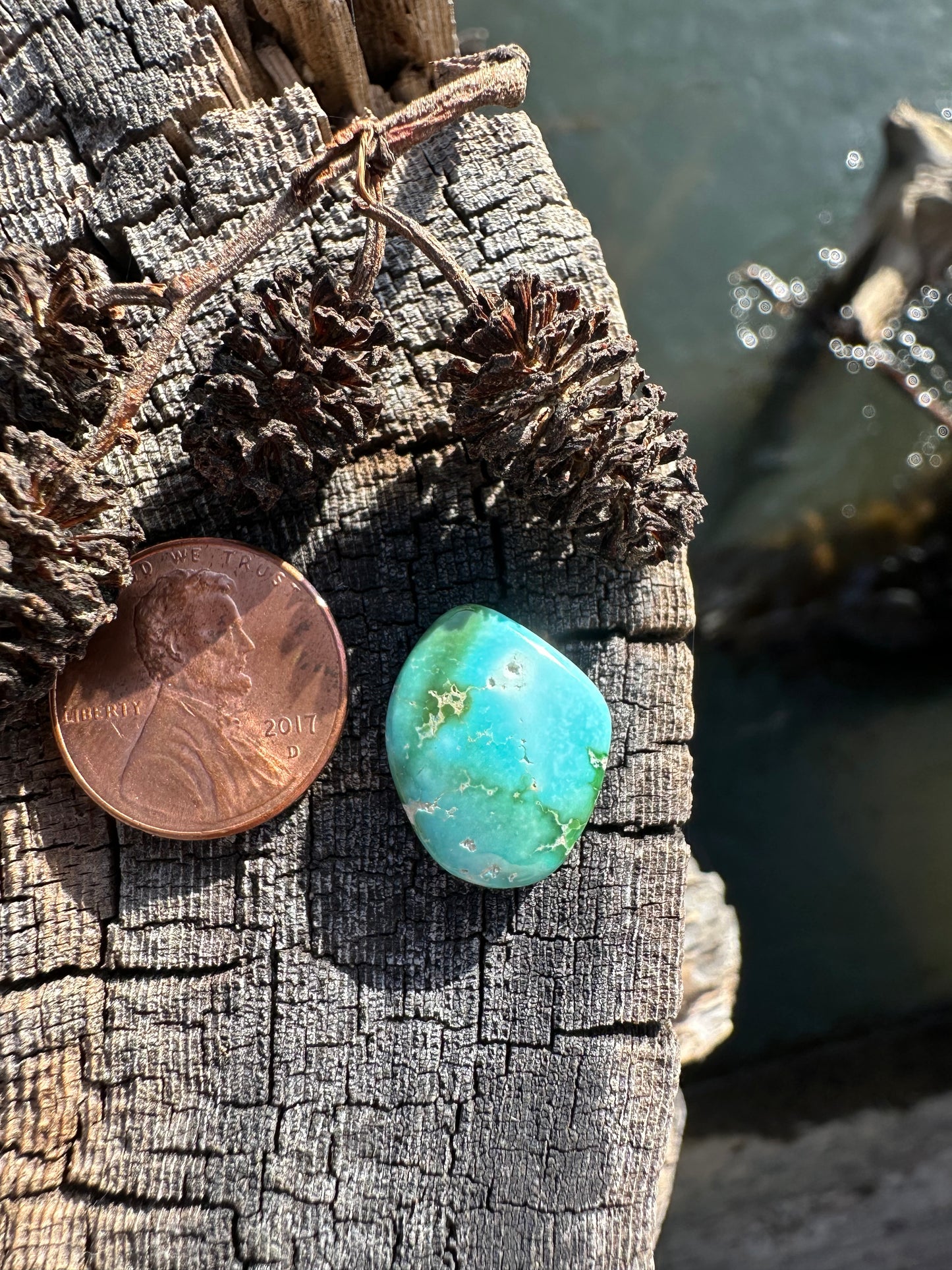 Turquoise Cabochon