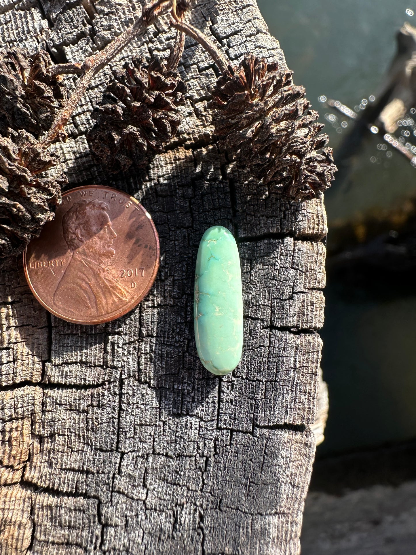 Turquoise Cabochon