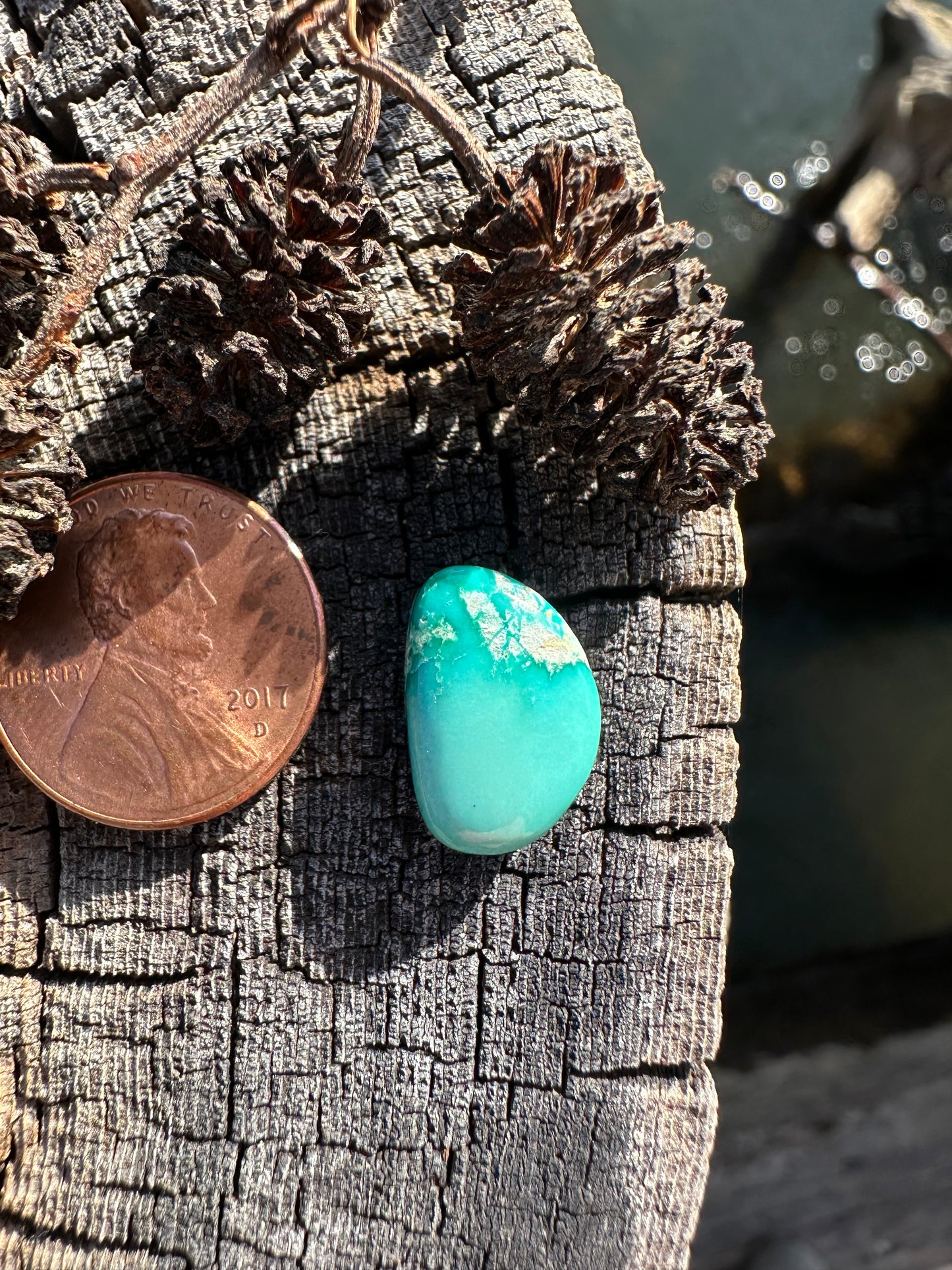Turquoise Cabochon