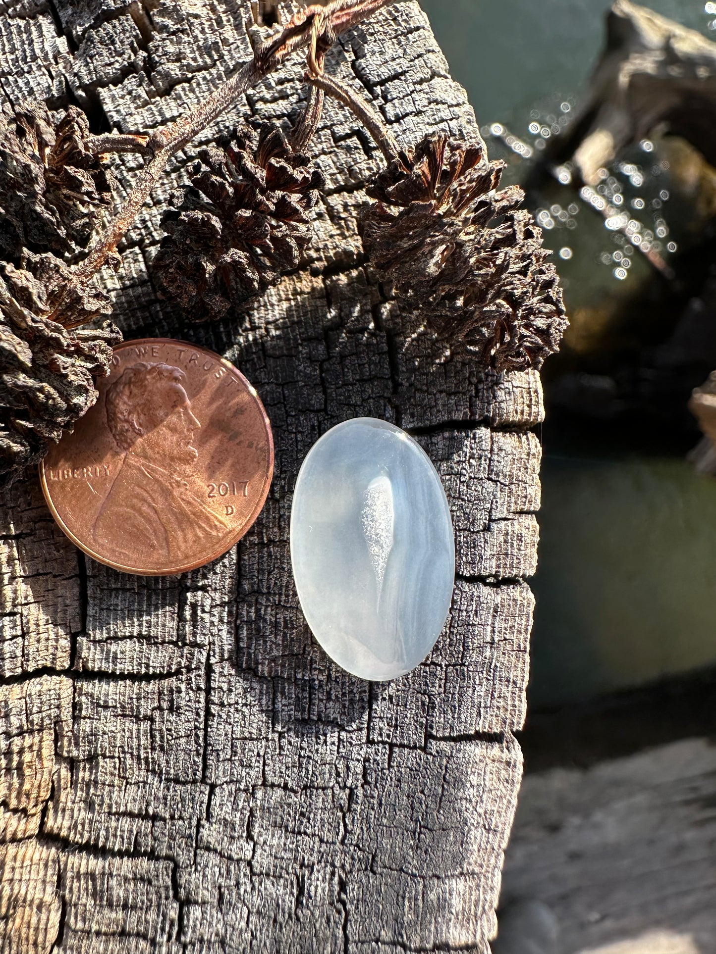 Ochoco Agate Cabochon