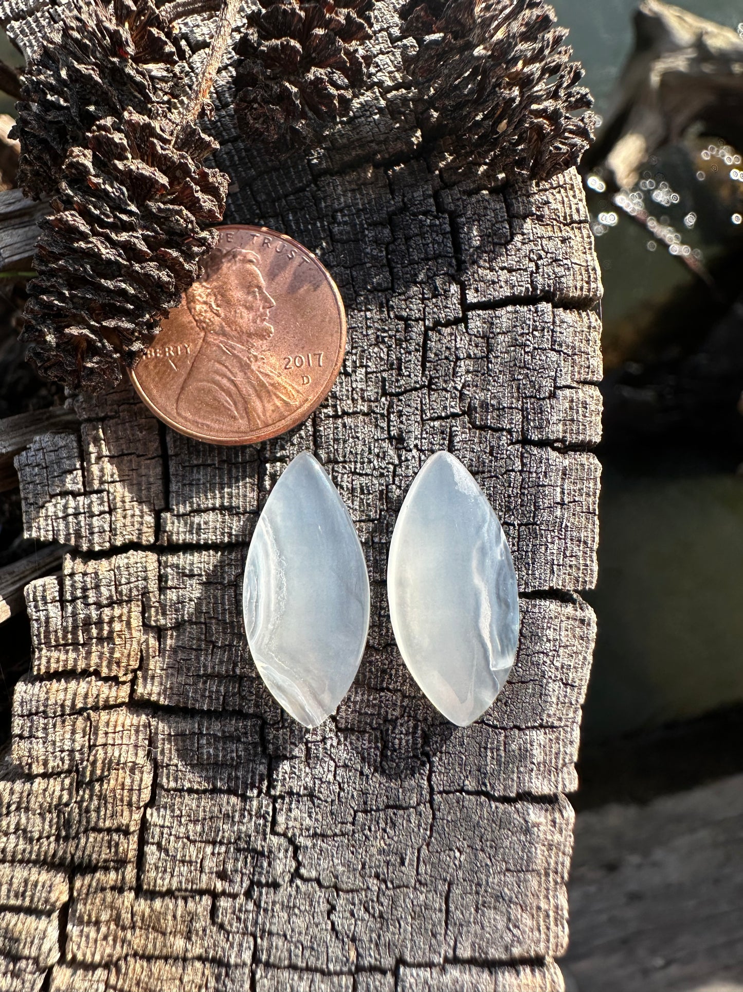 Ochoco Agate Earring Pair Cabochon