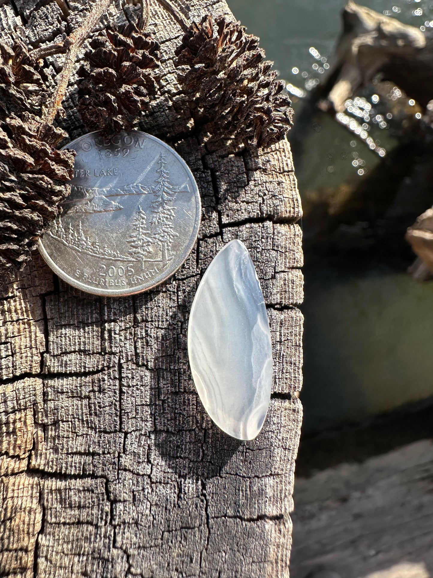 Ochoco Agate Cabochon
