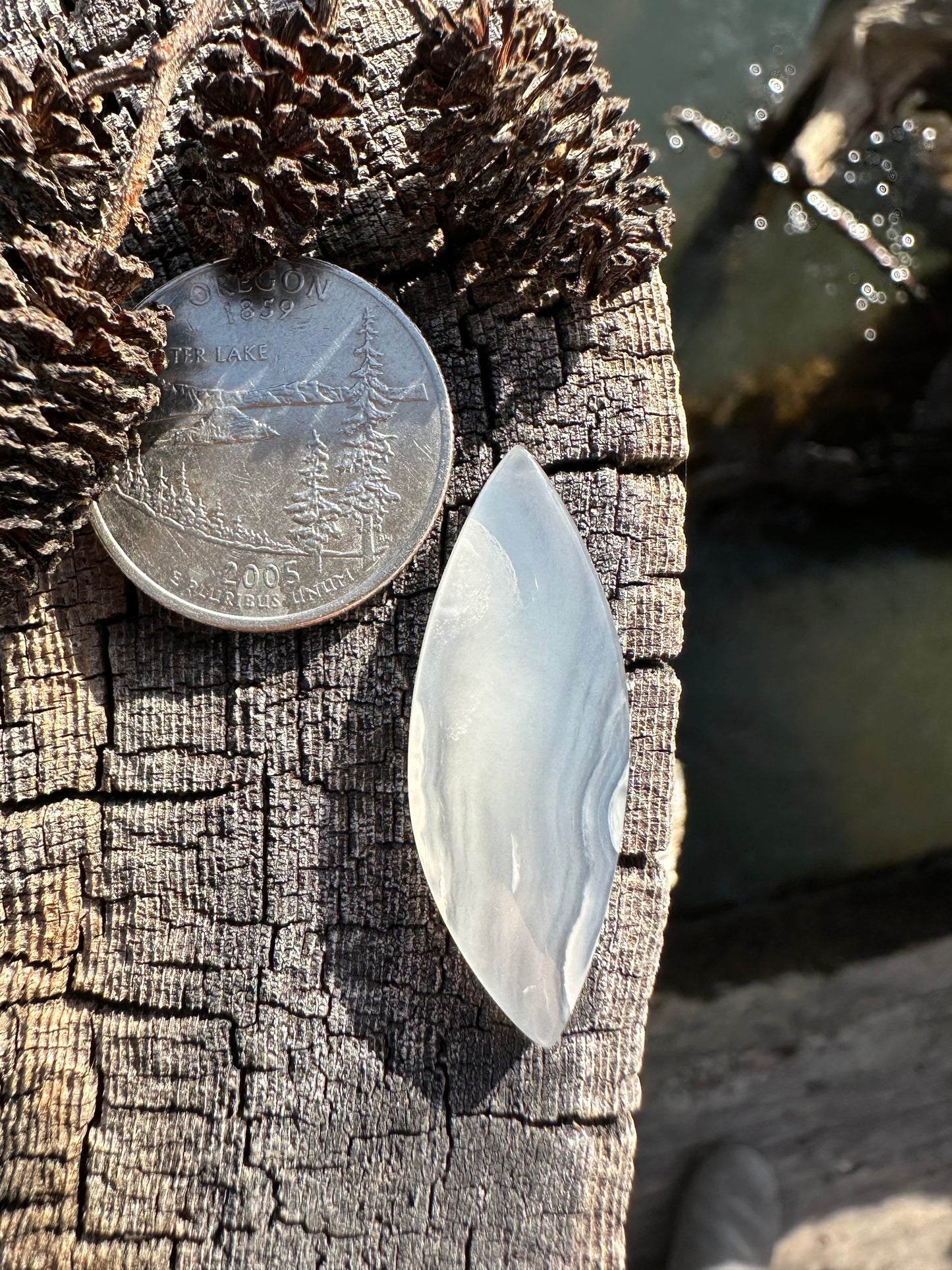 Ochoco Agate Cabochon