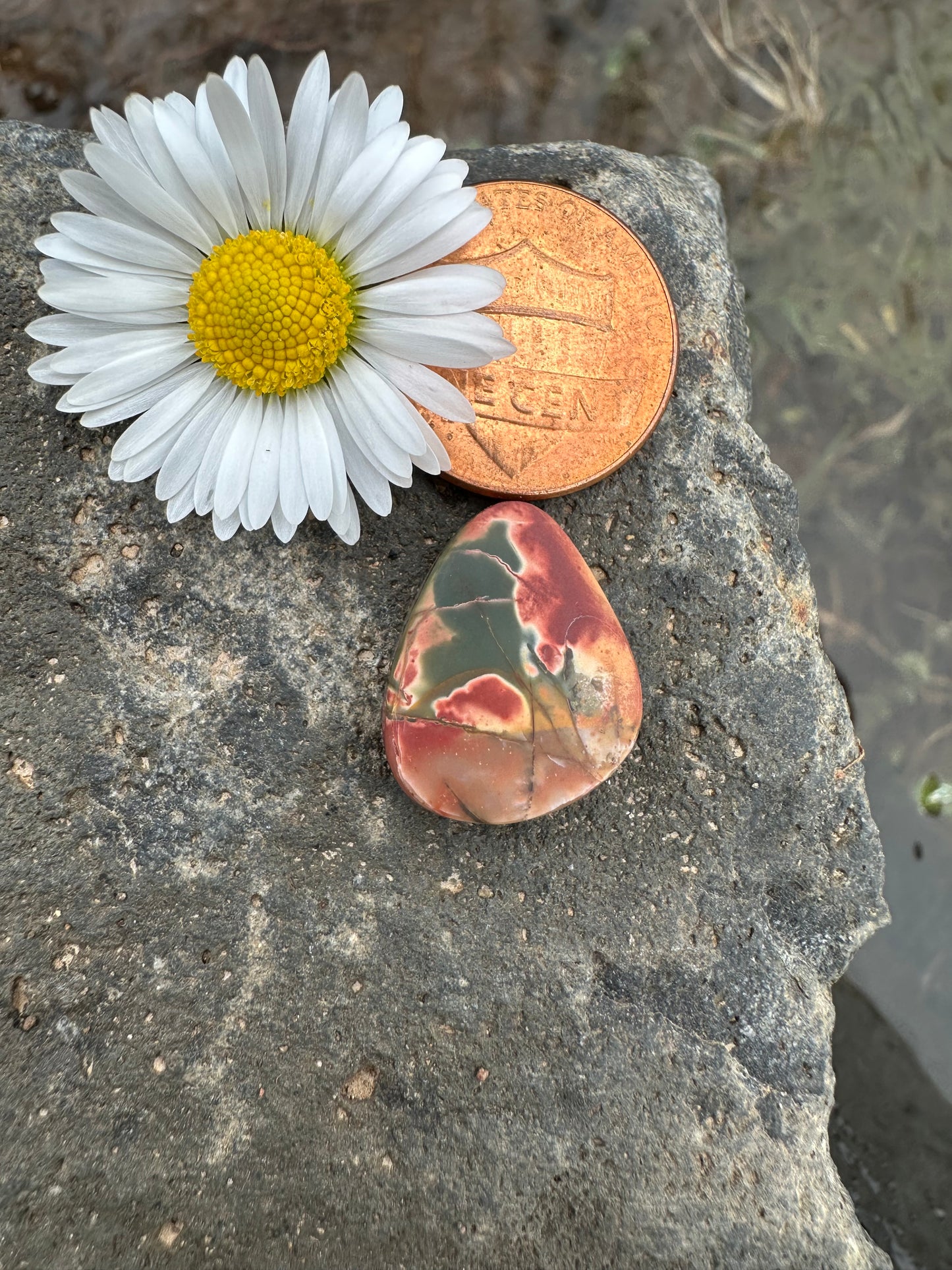 Cherry Creek Jasper Cabochon