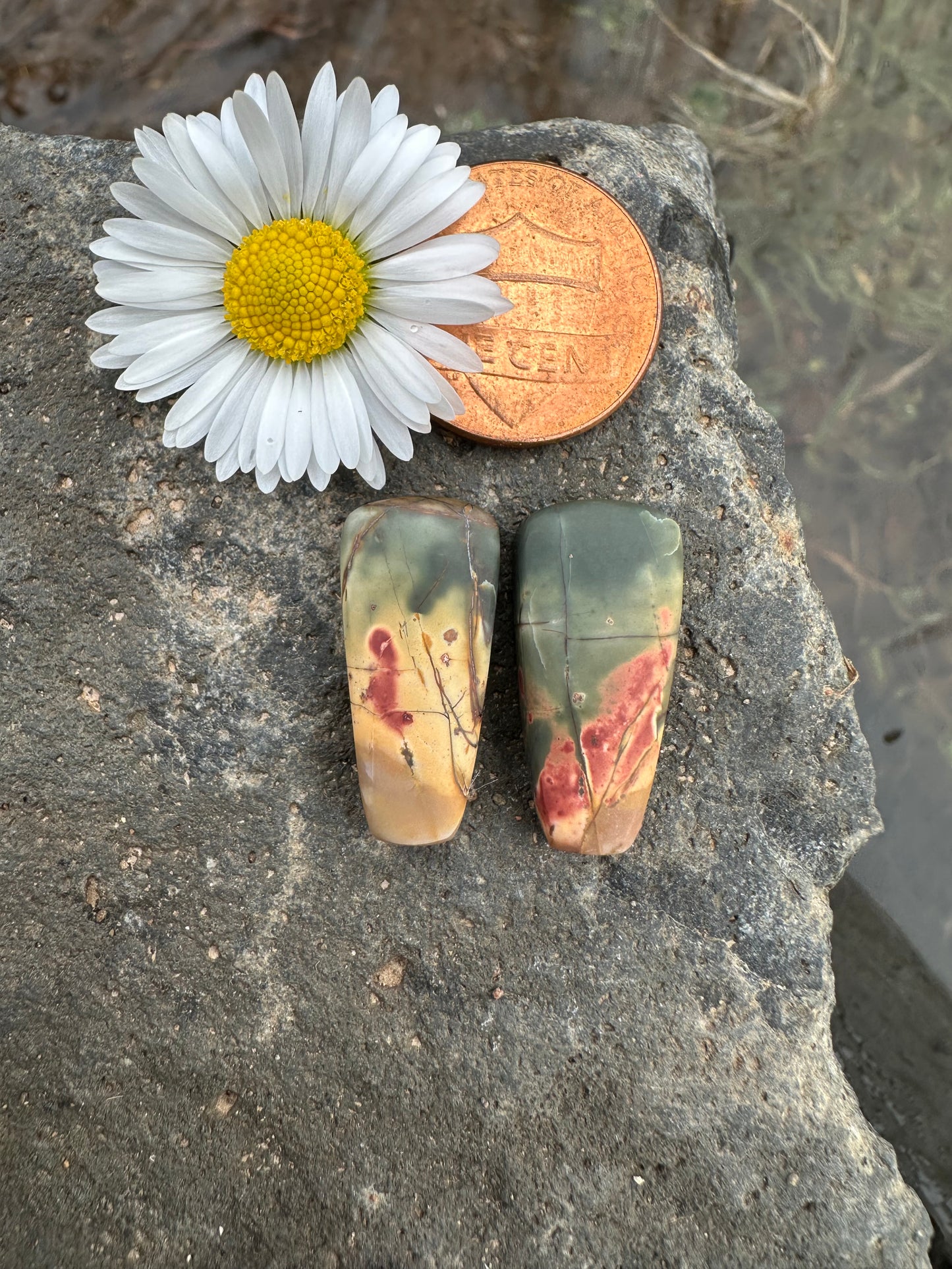 Cherry Creek Jasper Earring Pair Cabochons