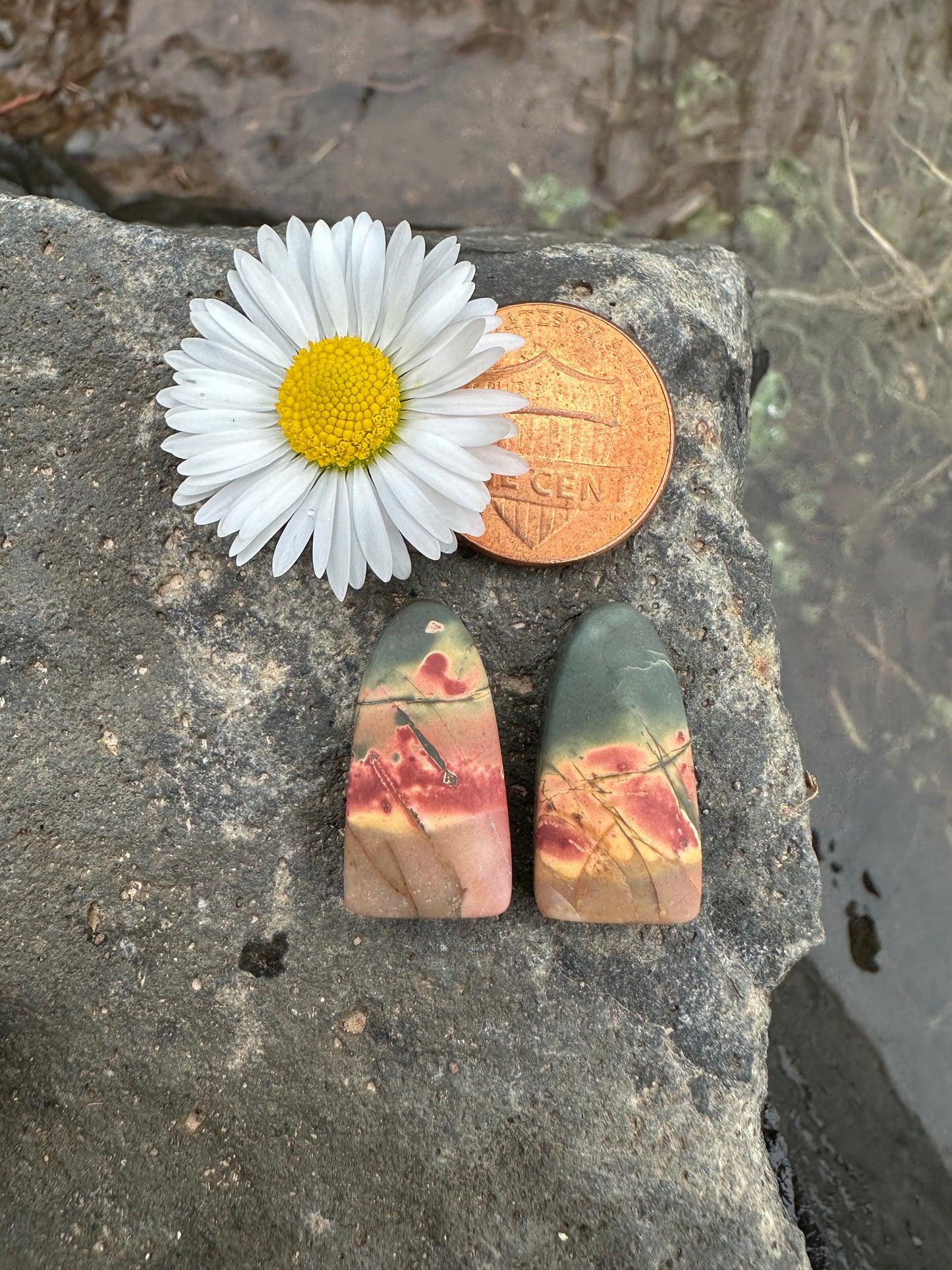 Cherry Creek Jasper Earring Pair Cabochons