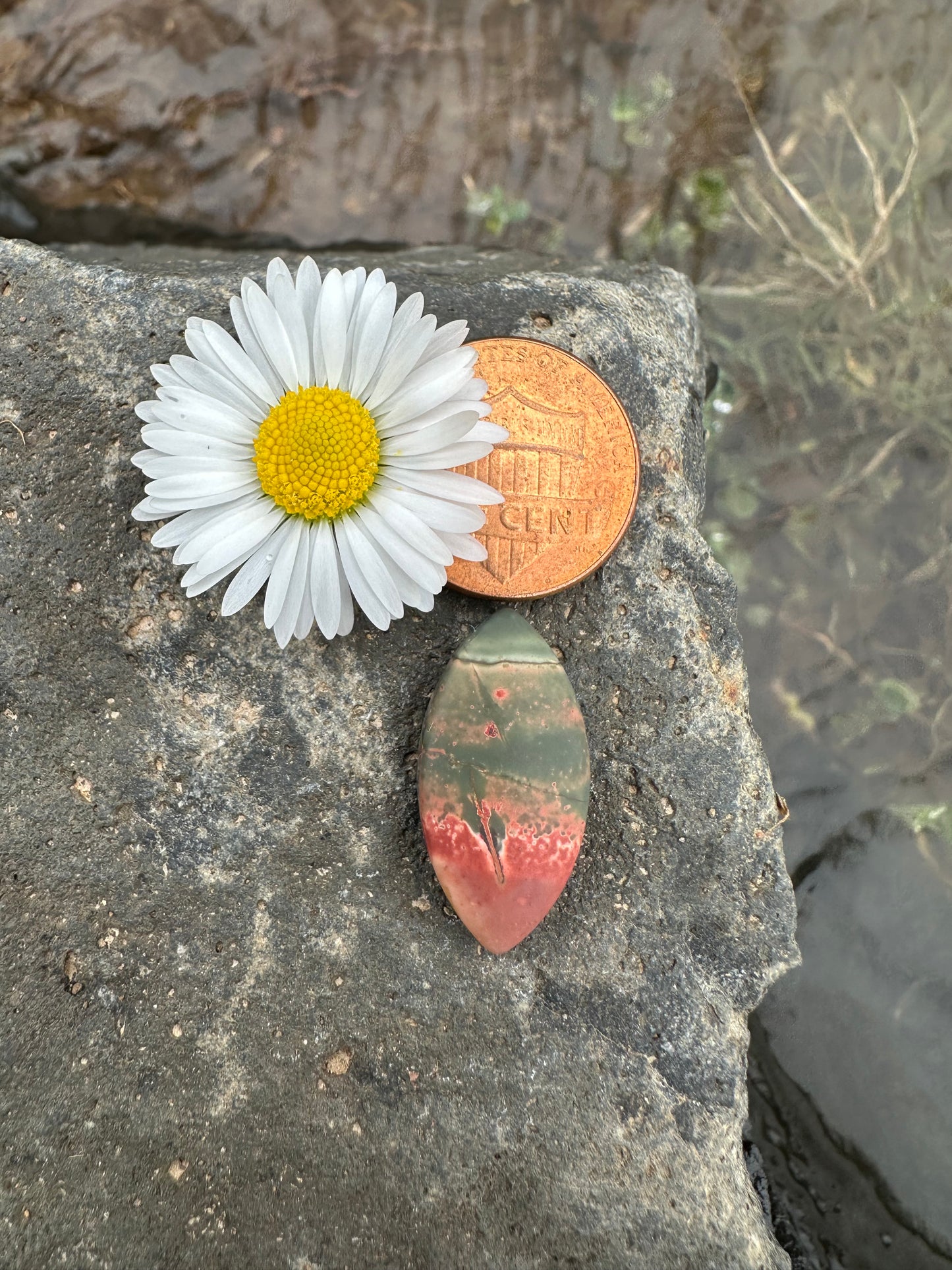 Cherry Creek Jasper Cabochon
