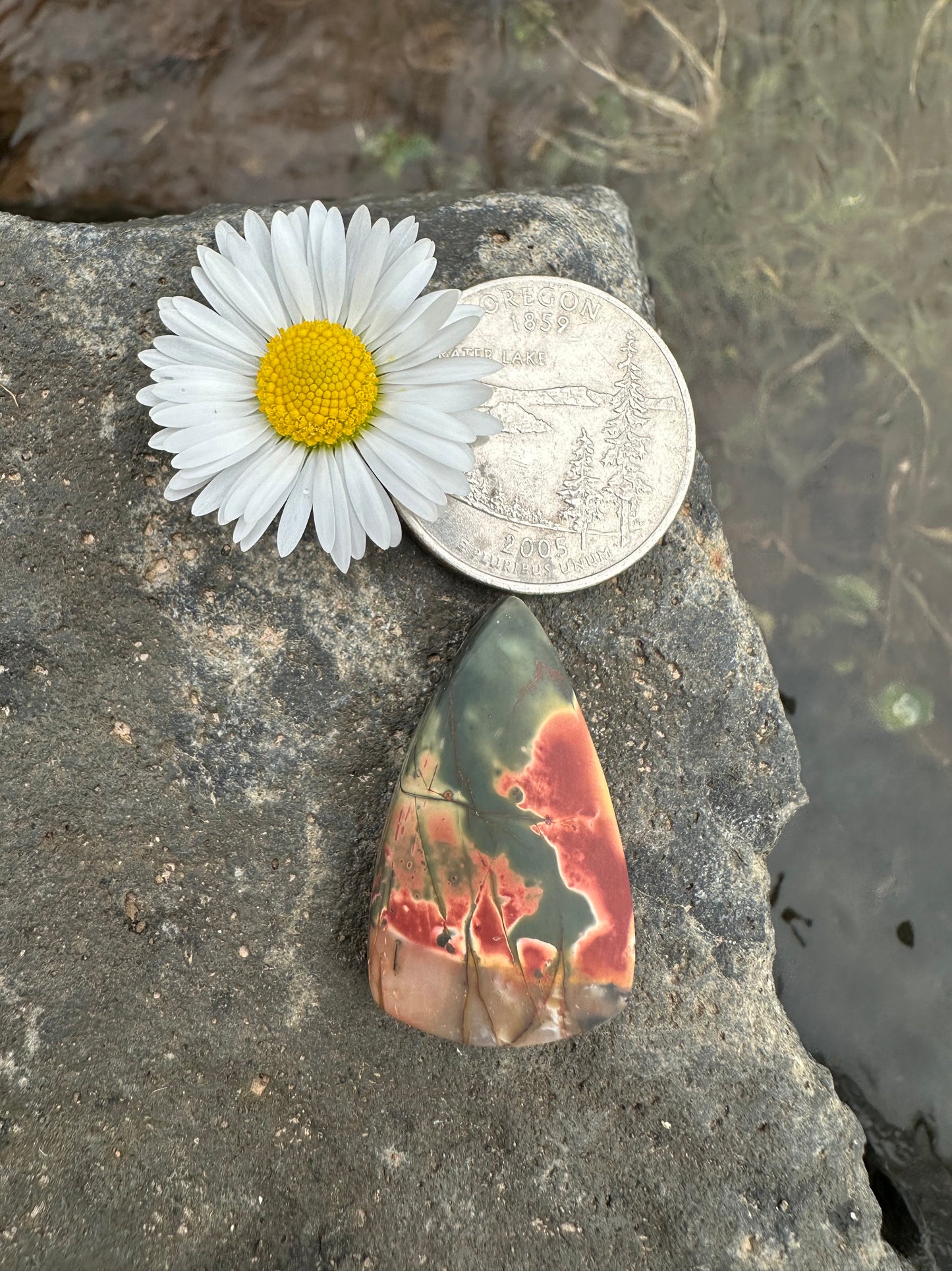 Cherry Creek Jasper Cabochon