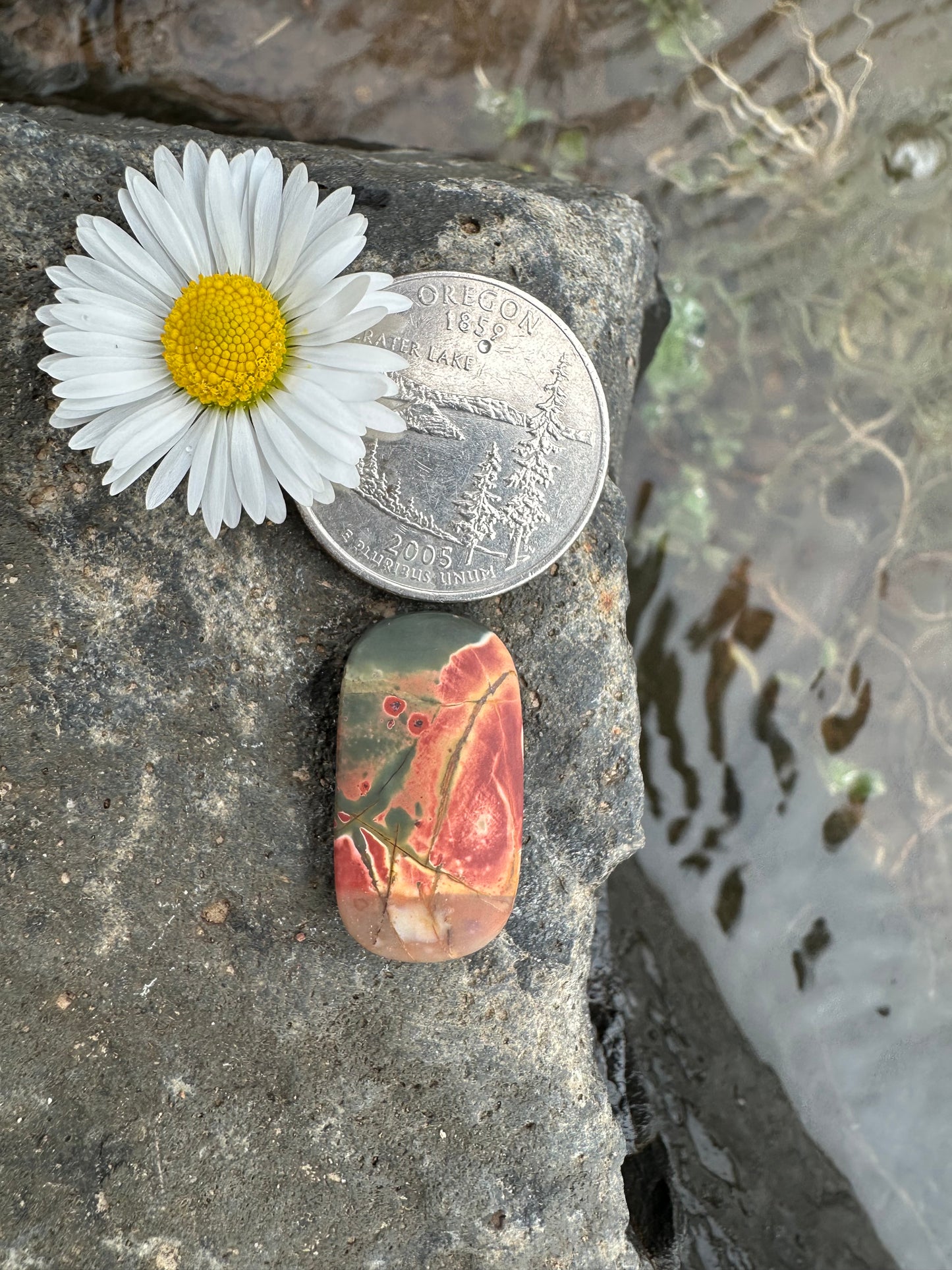 Cherry Creek Jasper Cabochon