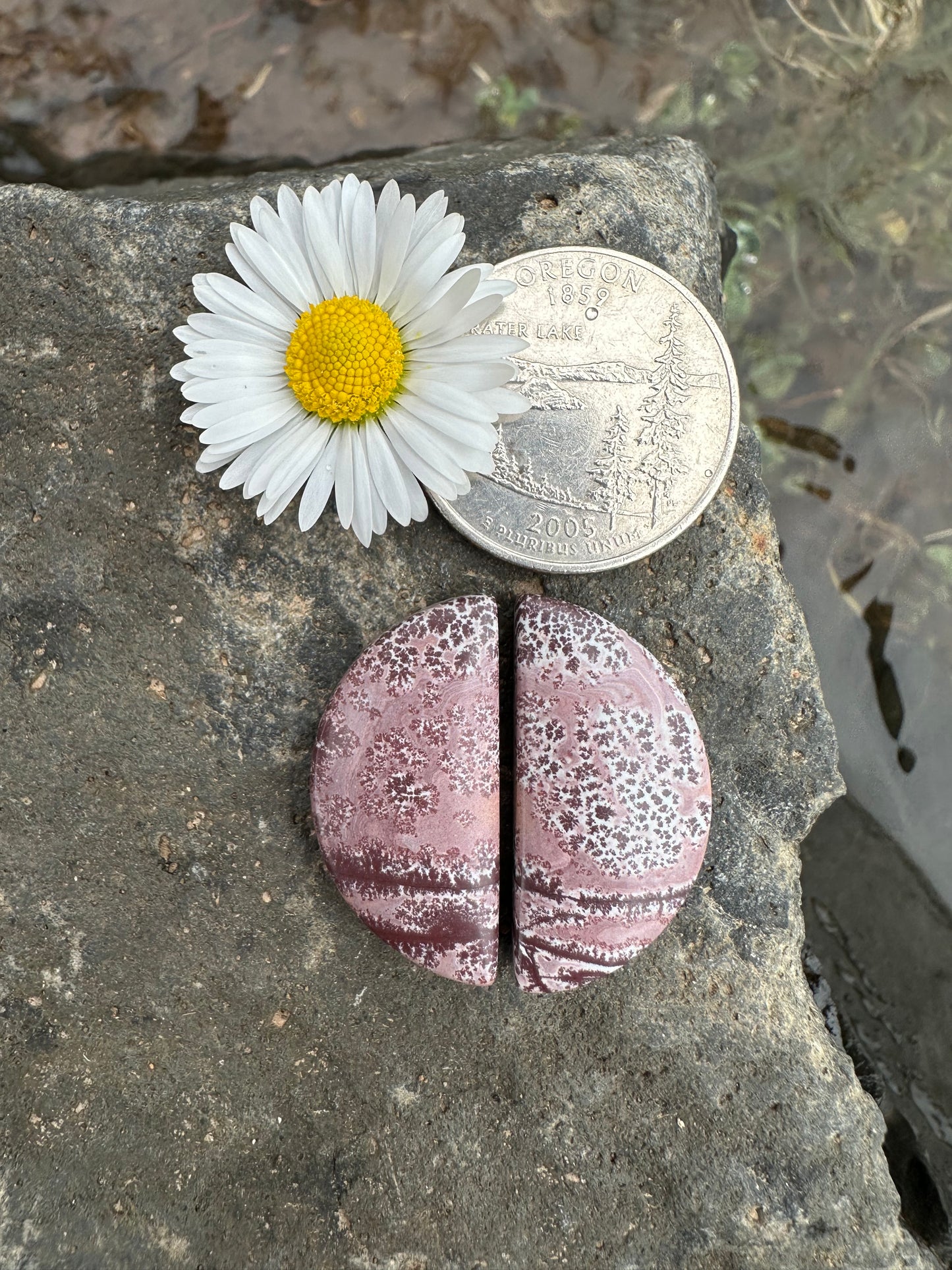 Sonoran Dendritic Rhyolite Earring Pair Cabochons
