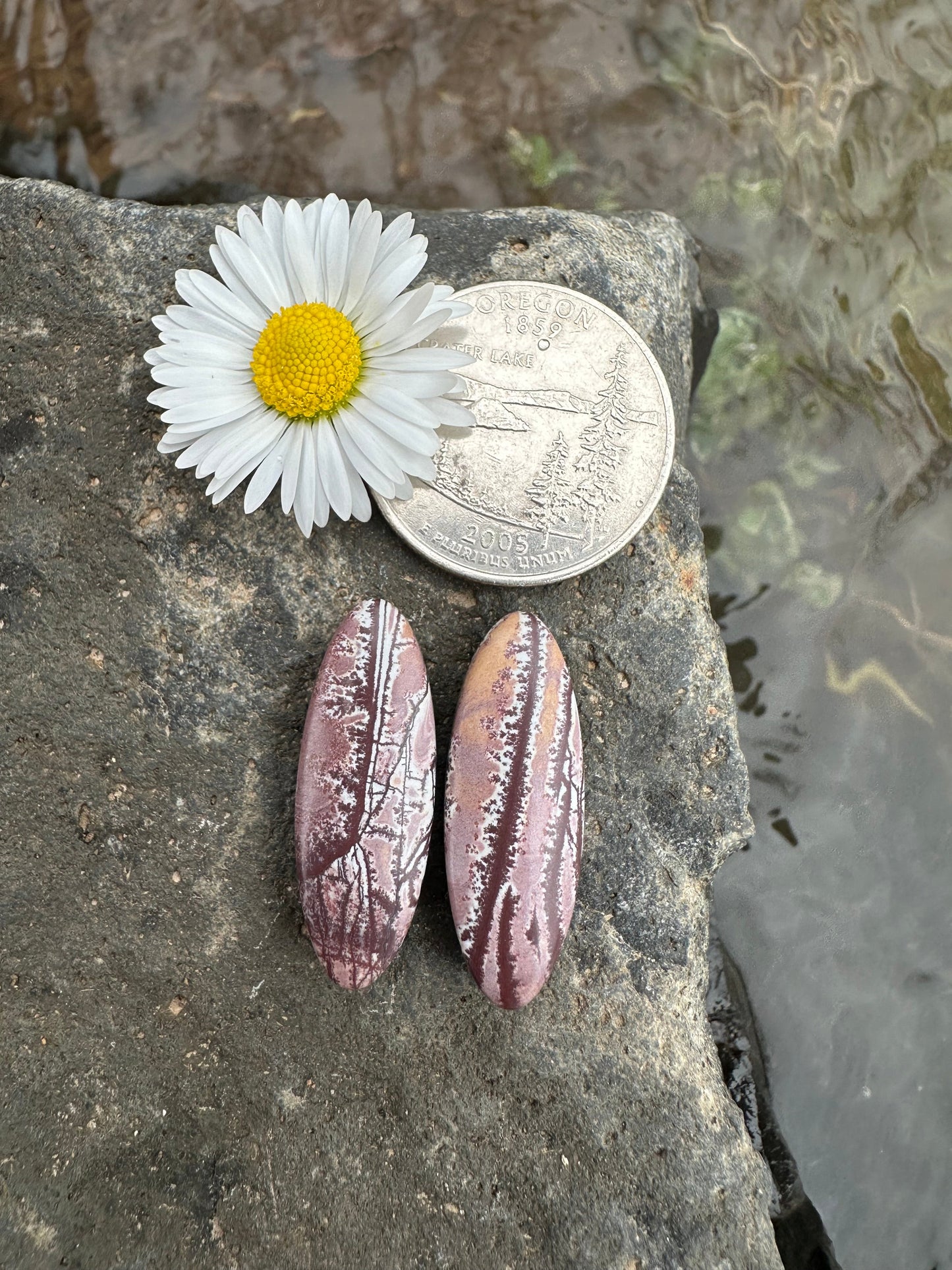 Sonoran Dendritic Rhyolite Earring Pair Cabochons