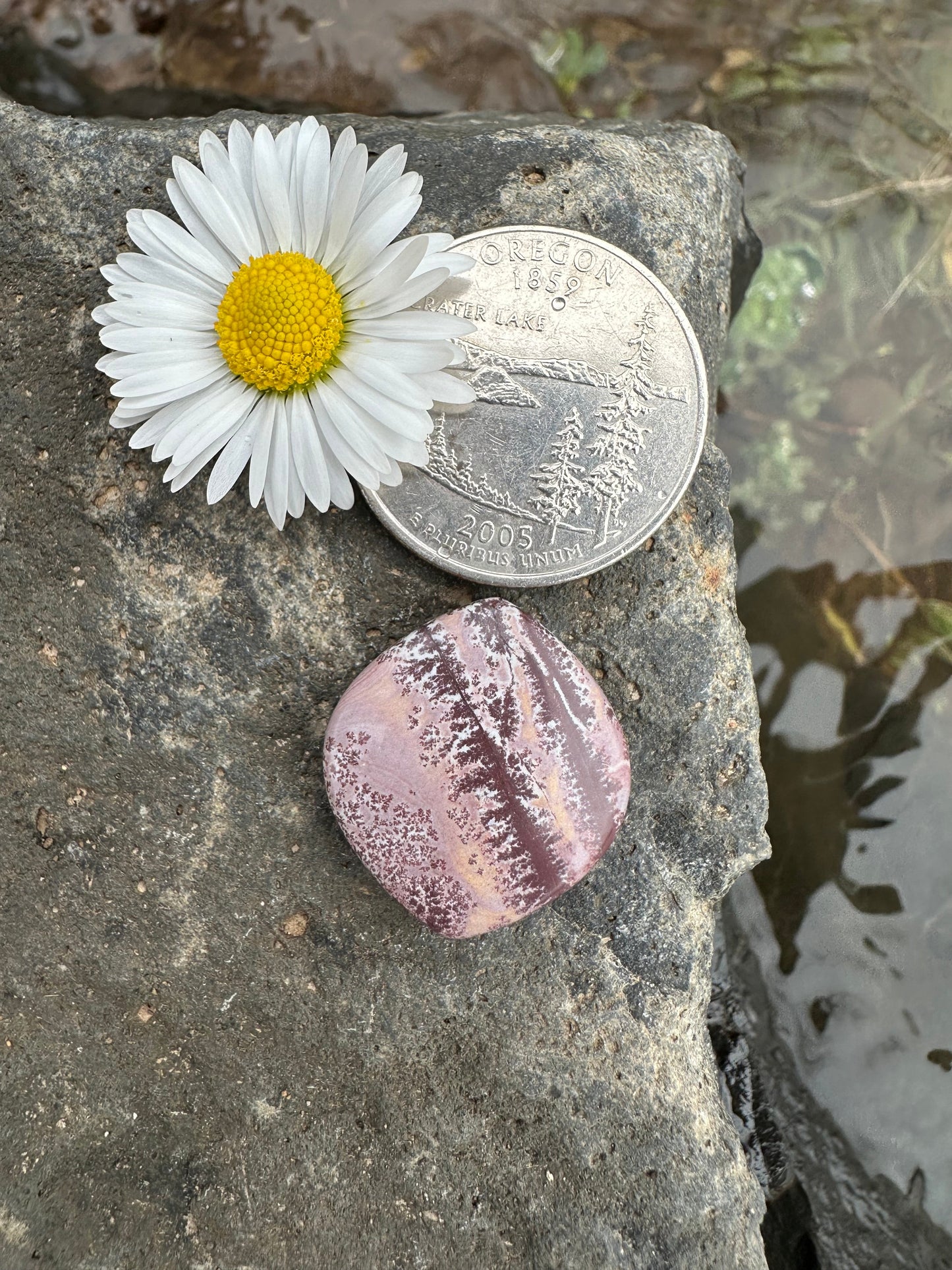 Sonoran Dendritic Rhyolite Cabochon