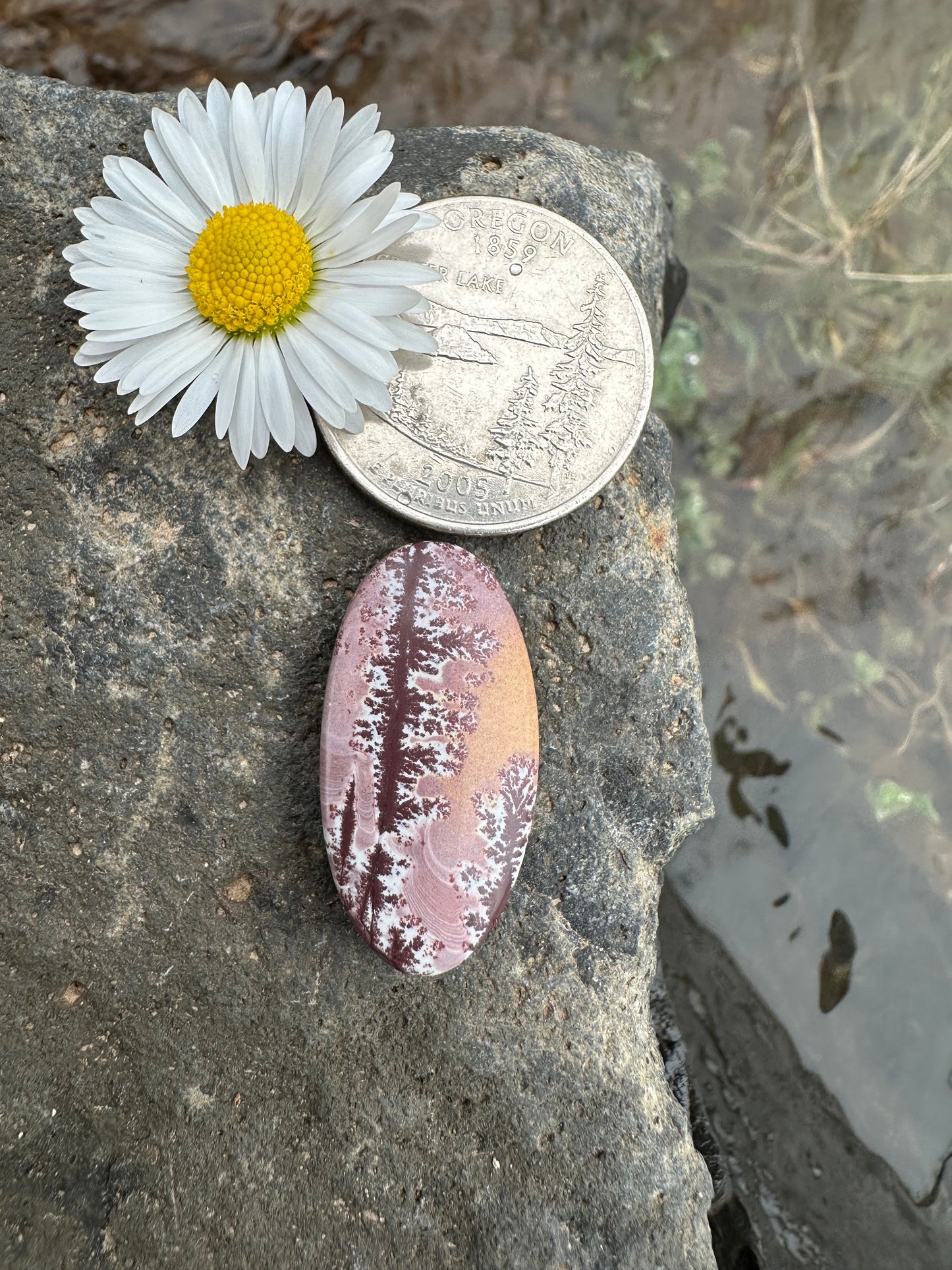 Sonoran Dendritic Rhyolite Cabochon