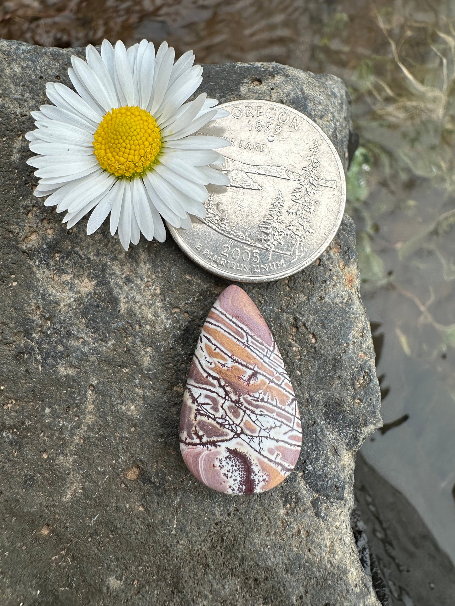 Sonoran Dendritic Rhyolite Cabochon