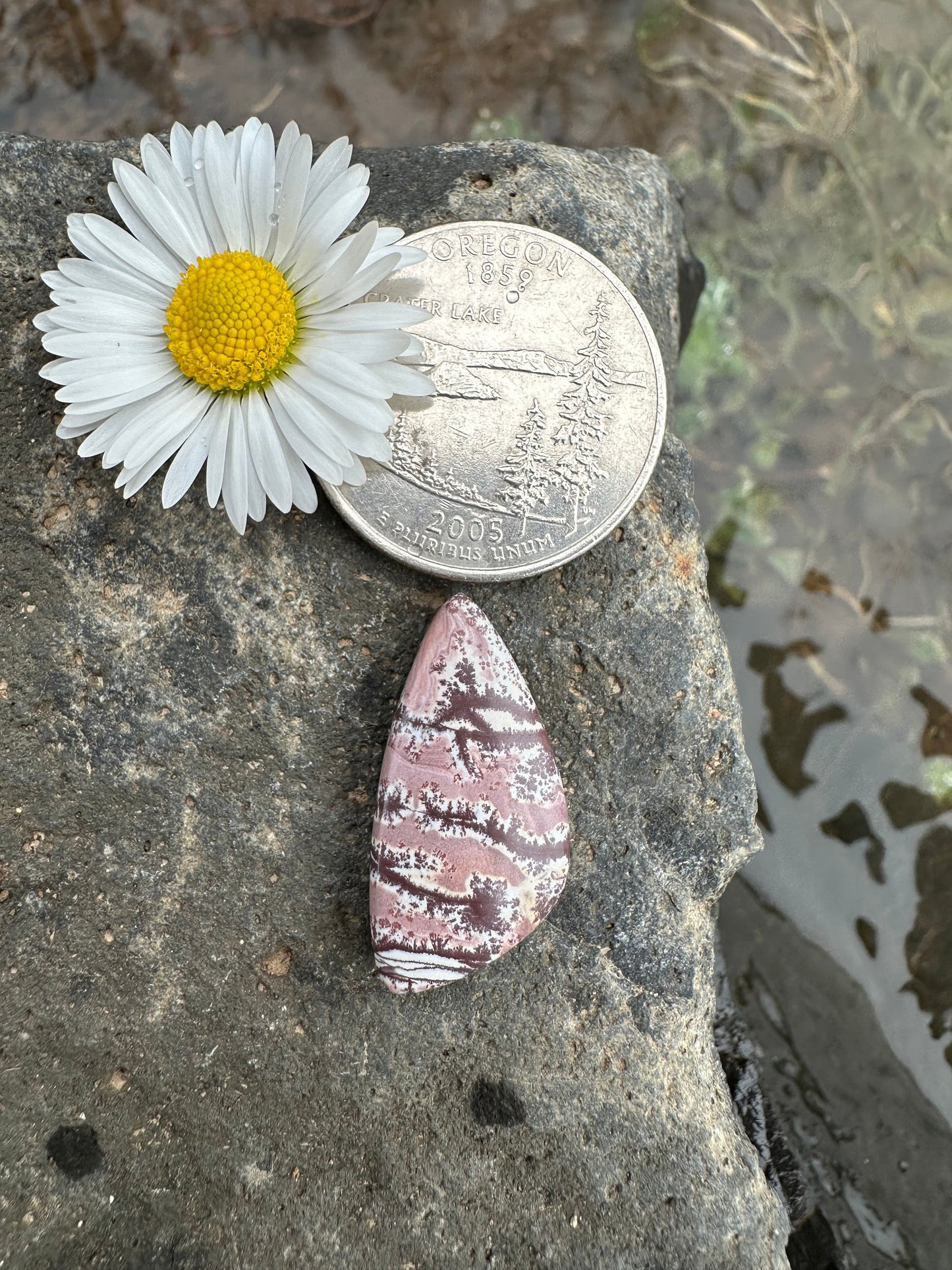 Sonoran Dendritic Rhyolite Cabochon