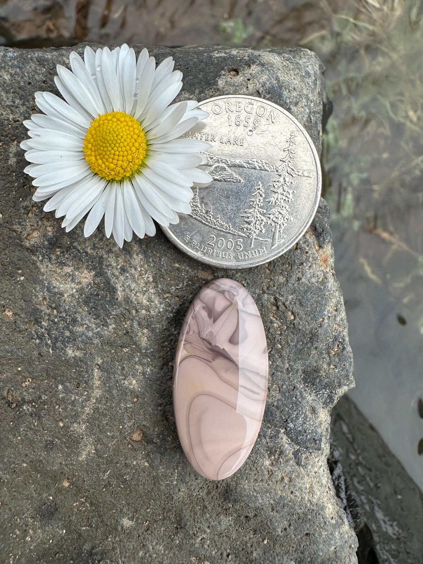 Willow Creek Jasper Cabochon