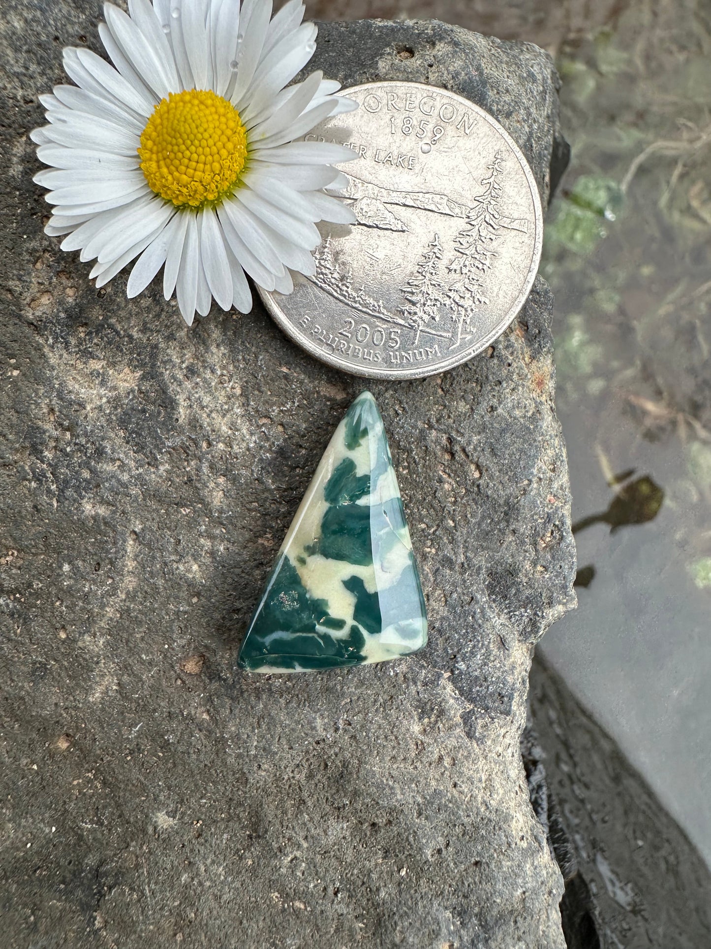 Hava Ridge Jasper Cabochon