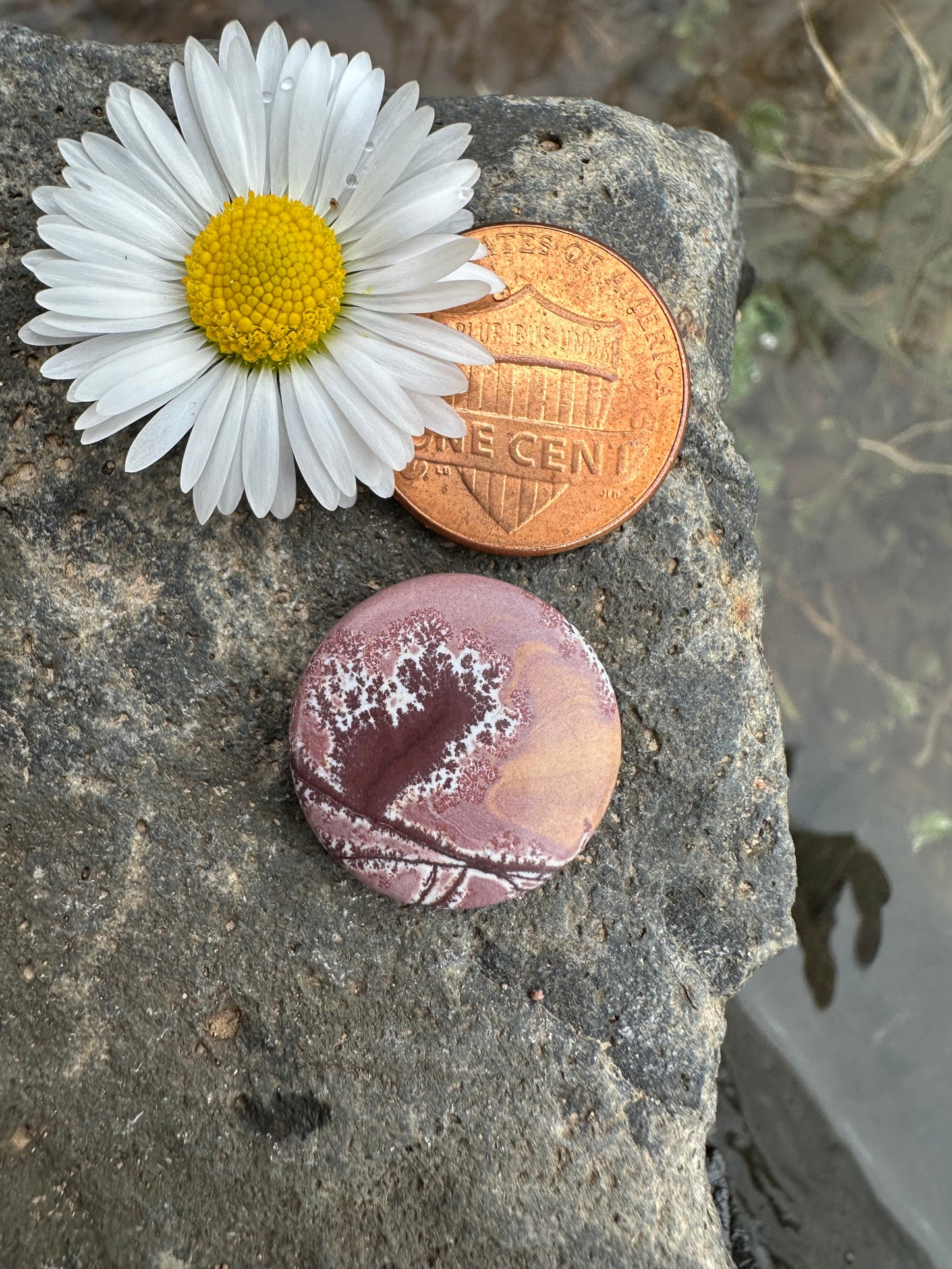 Sonoran Dendritic Rhyolite Cabochon